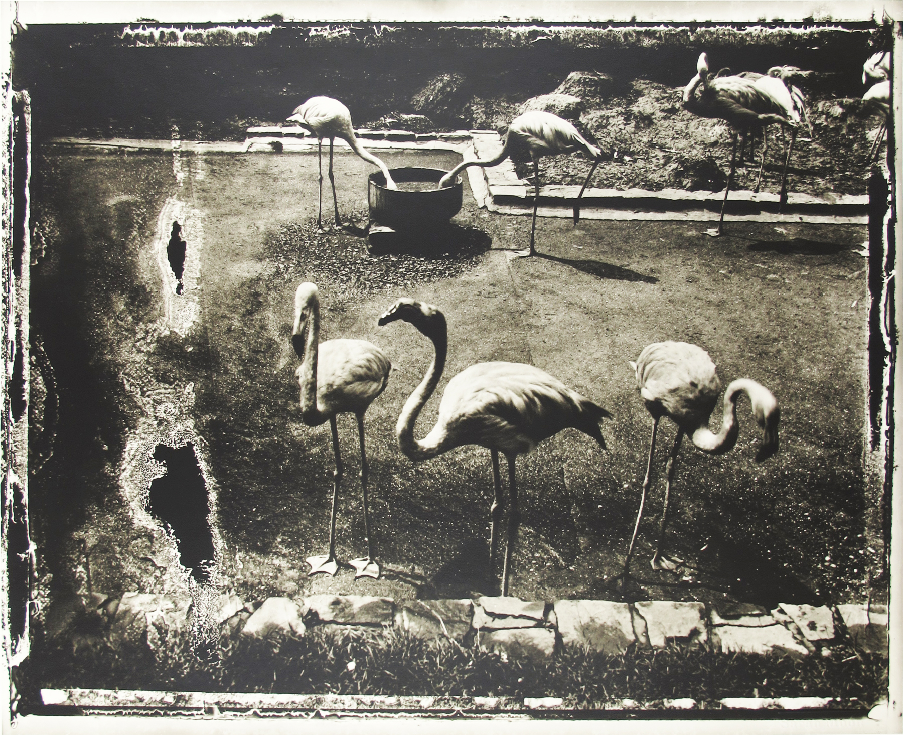 Sarah Moon: Now and Then 2012 Howard Greenberg Gallery