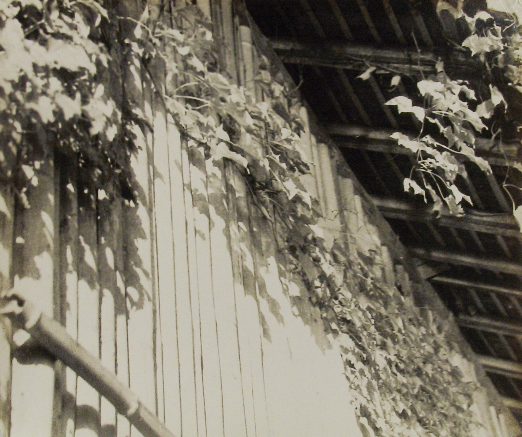 Photographers of Japanese Descent 2008 Howard Greenberg Gallery