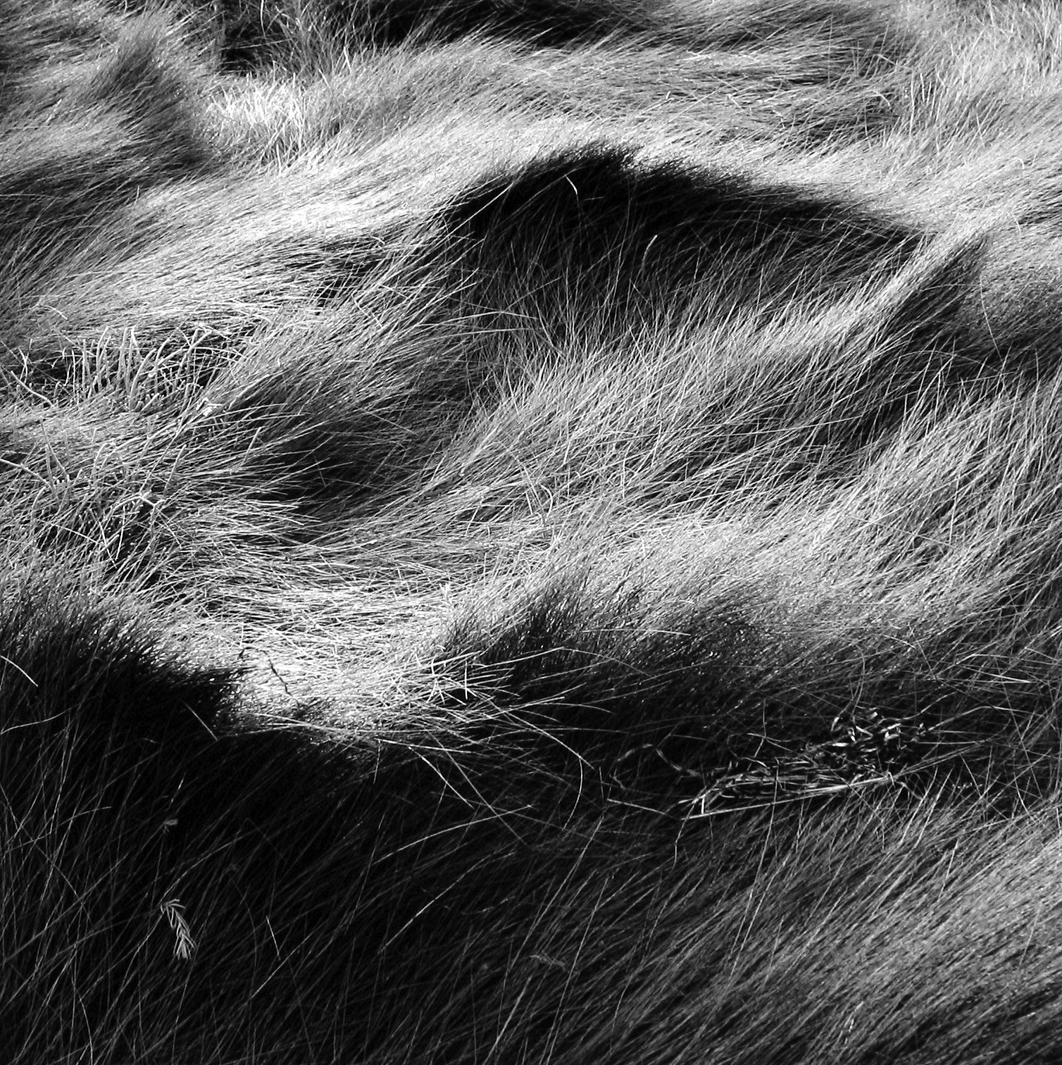 A Cool Breeze - Howard Greenberg Gallery - 2016