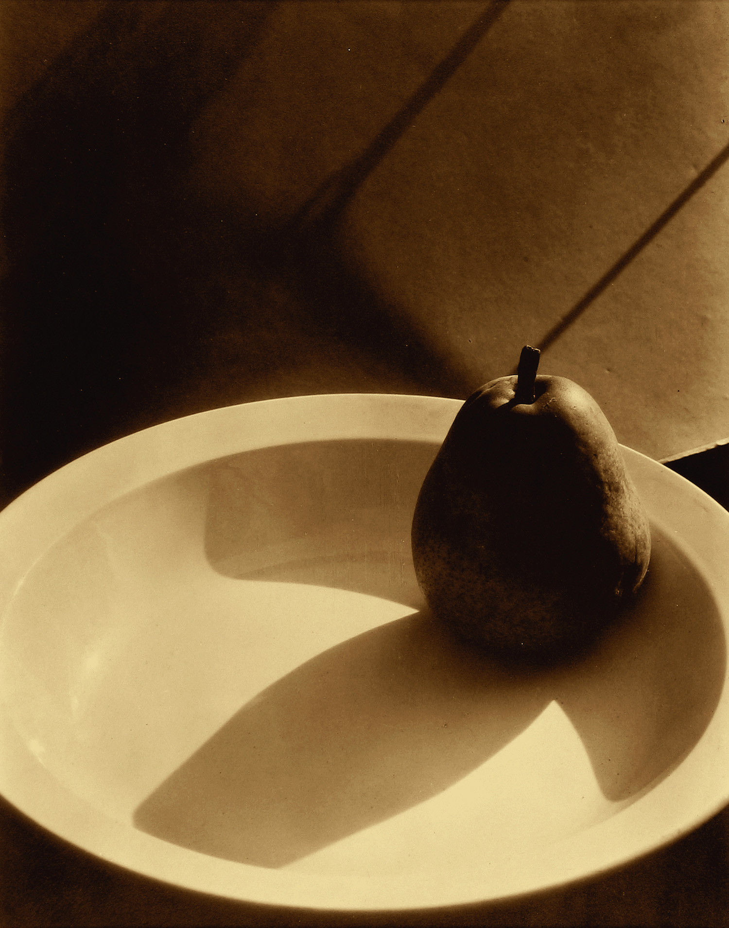 Edward Steichen: 1915-1923 2009 Howard Greenberg Gallery