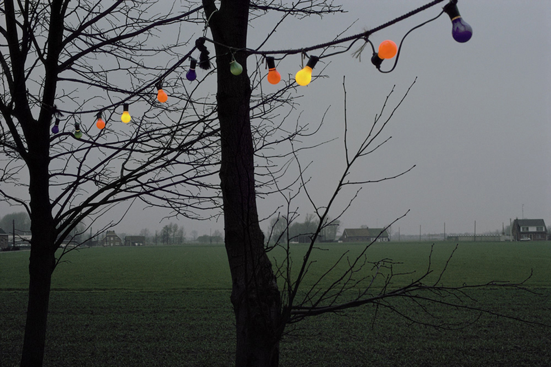 Harry Gruyaert, Antwerp, belgium, 1988, Howard Greenberg Gallery, 2019