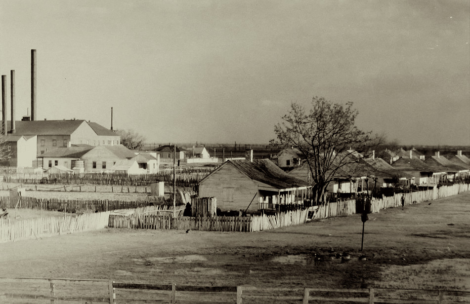 Walker Evans and His Early Circle 2004 Howard Greenberg Gallery