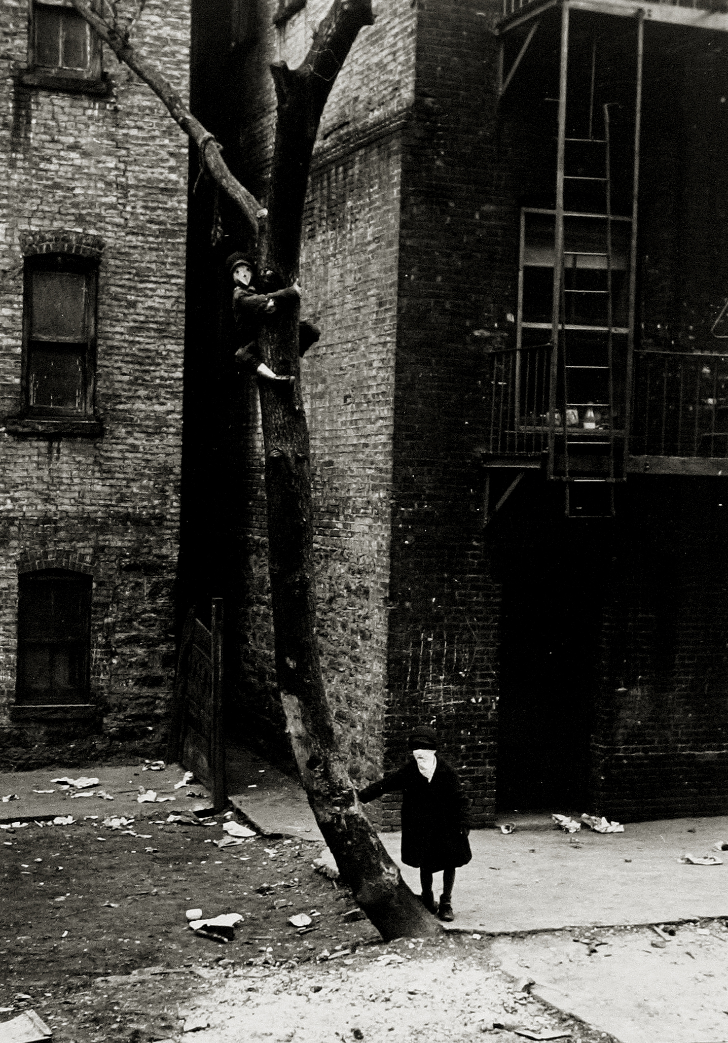 Walker Evans and His Early Circle 2004 Howard Greenberg Gallery