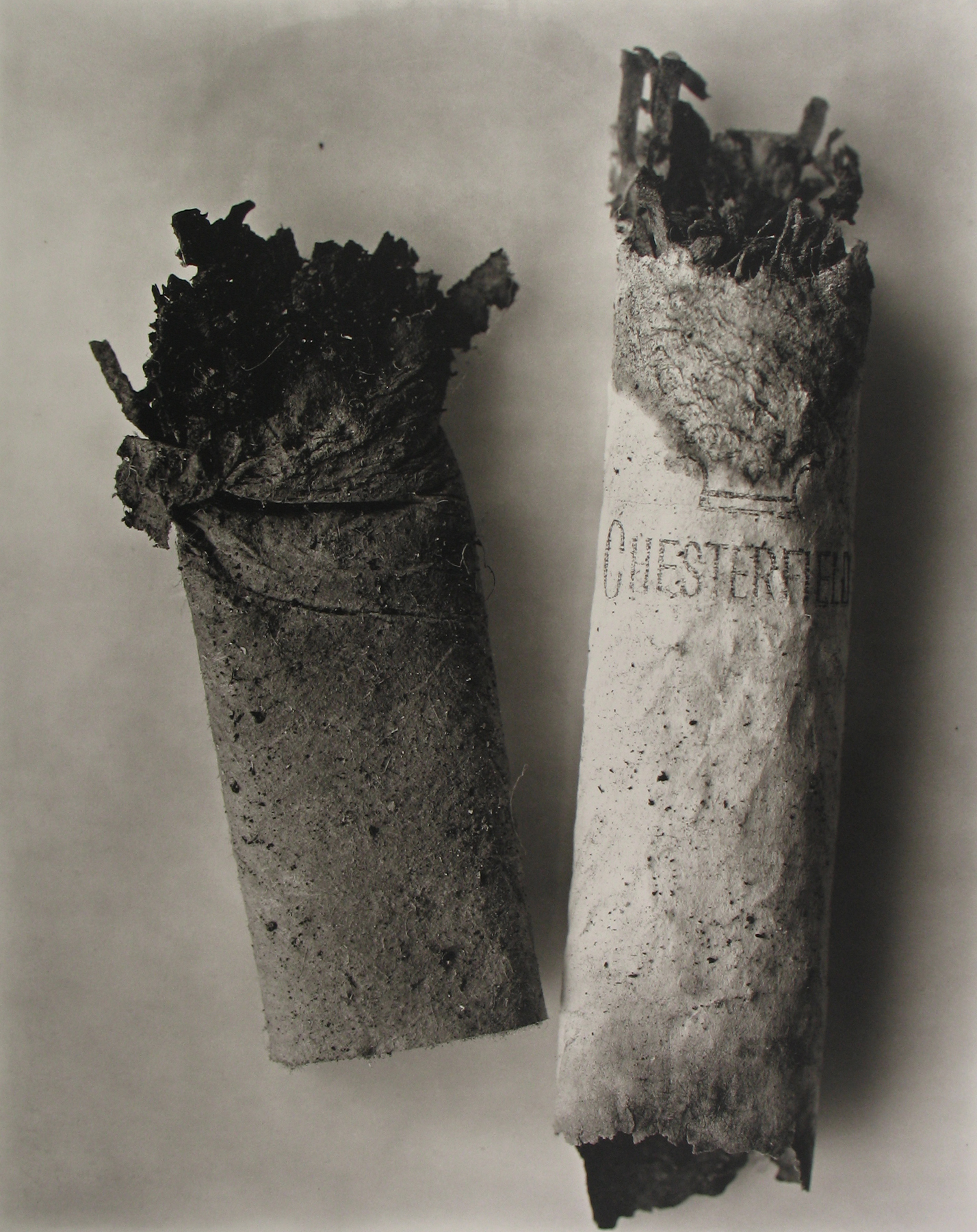 Staff Picks 2009 Howard Greenberg Gallery