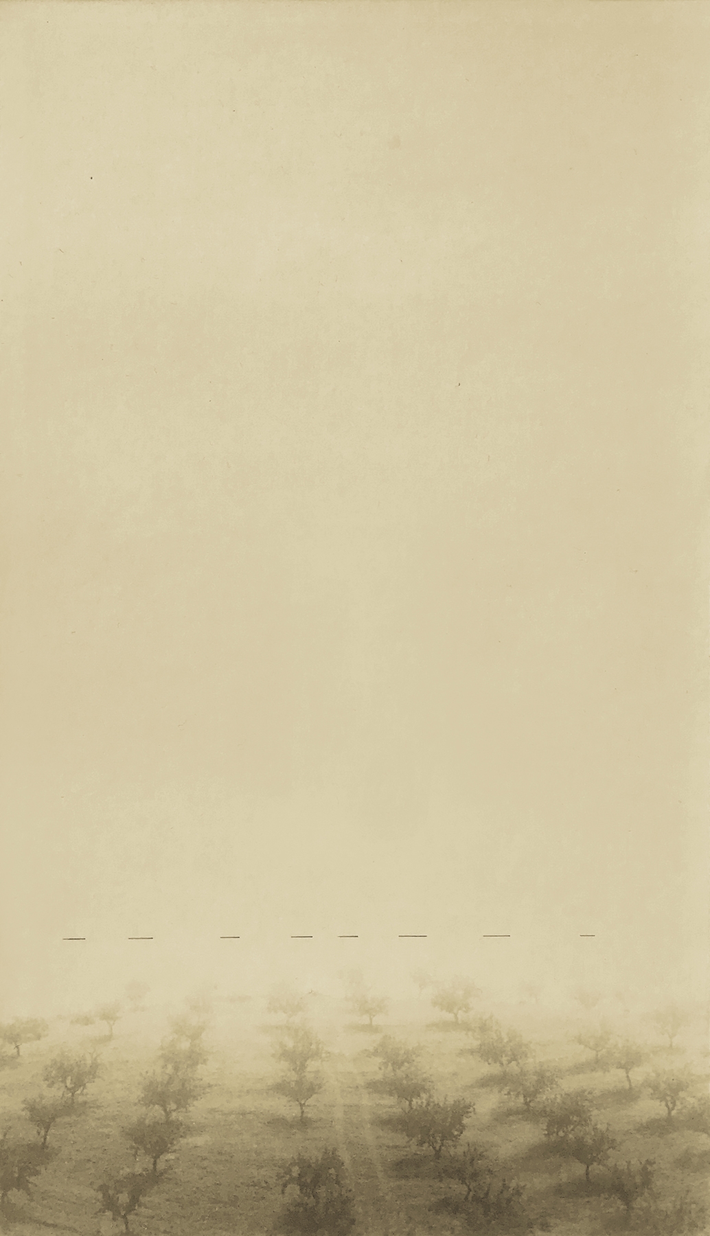 Bruno Roels: A Palm Tree is a Palm Tree is a Palm Tree, Howard Greenberg Gallery, 2018