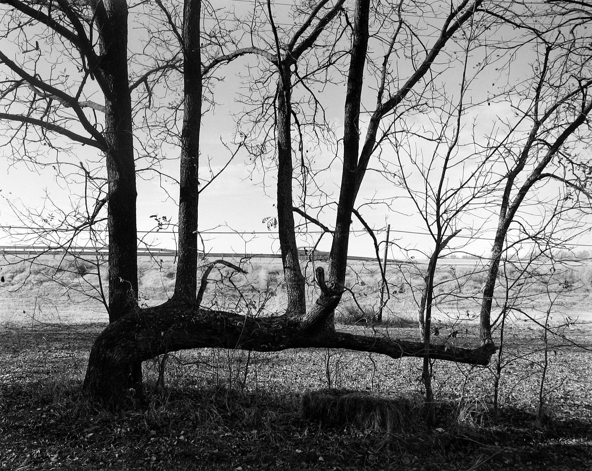 Frank Gohlke 2005 howard greenberg gallery