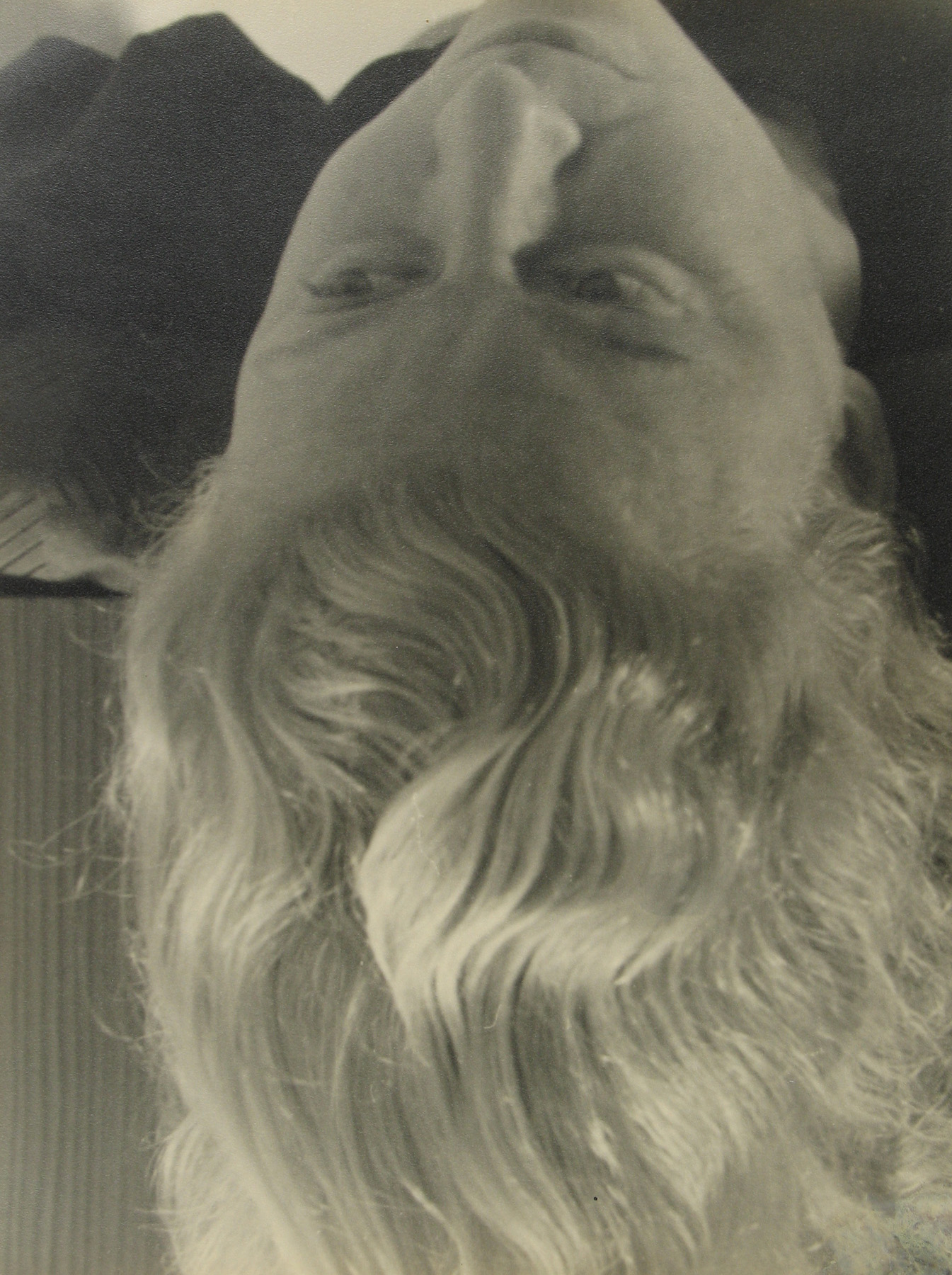 Czech Vision 2007 Howard Greenberg Gallery