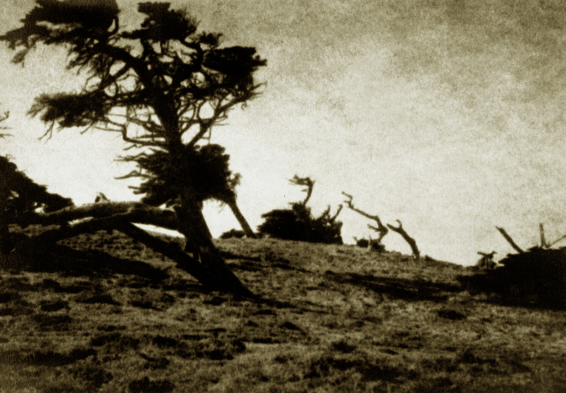 Staff Picks 2010 Howard Greenberg Gallery