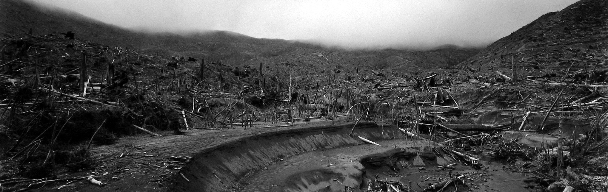 Frank Gohlke: One Thing and Another 2012 Howard Greenberg Gallery