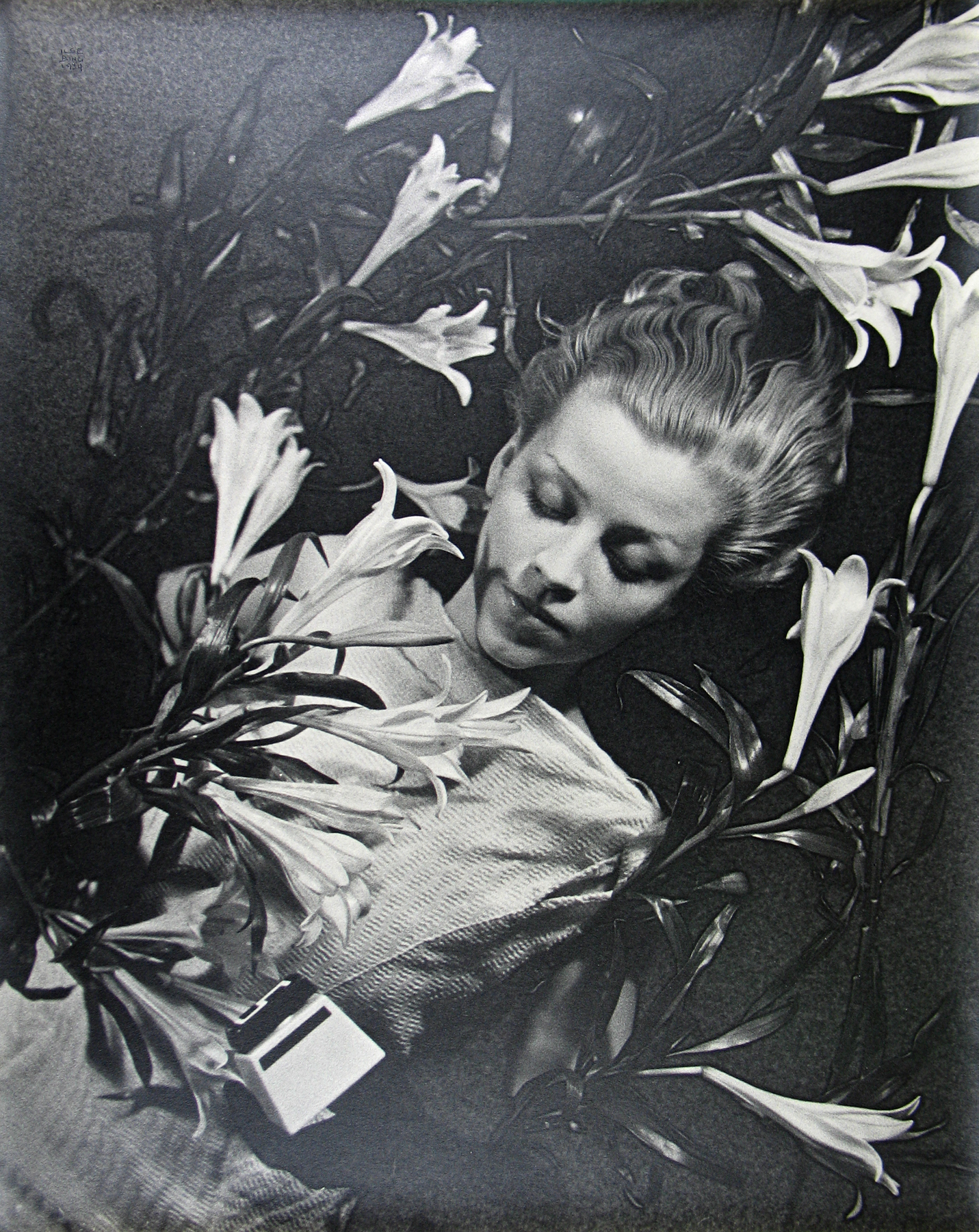 The Heartbeat of Fashion 2010 Howard Greenberg Gallery