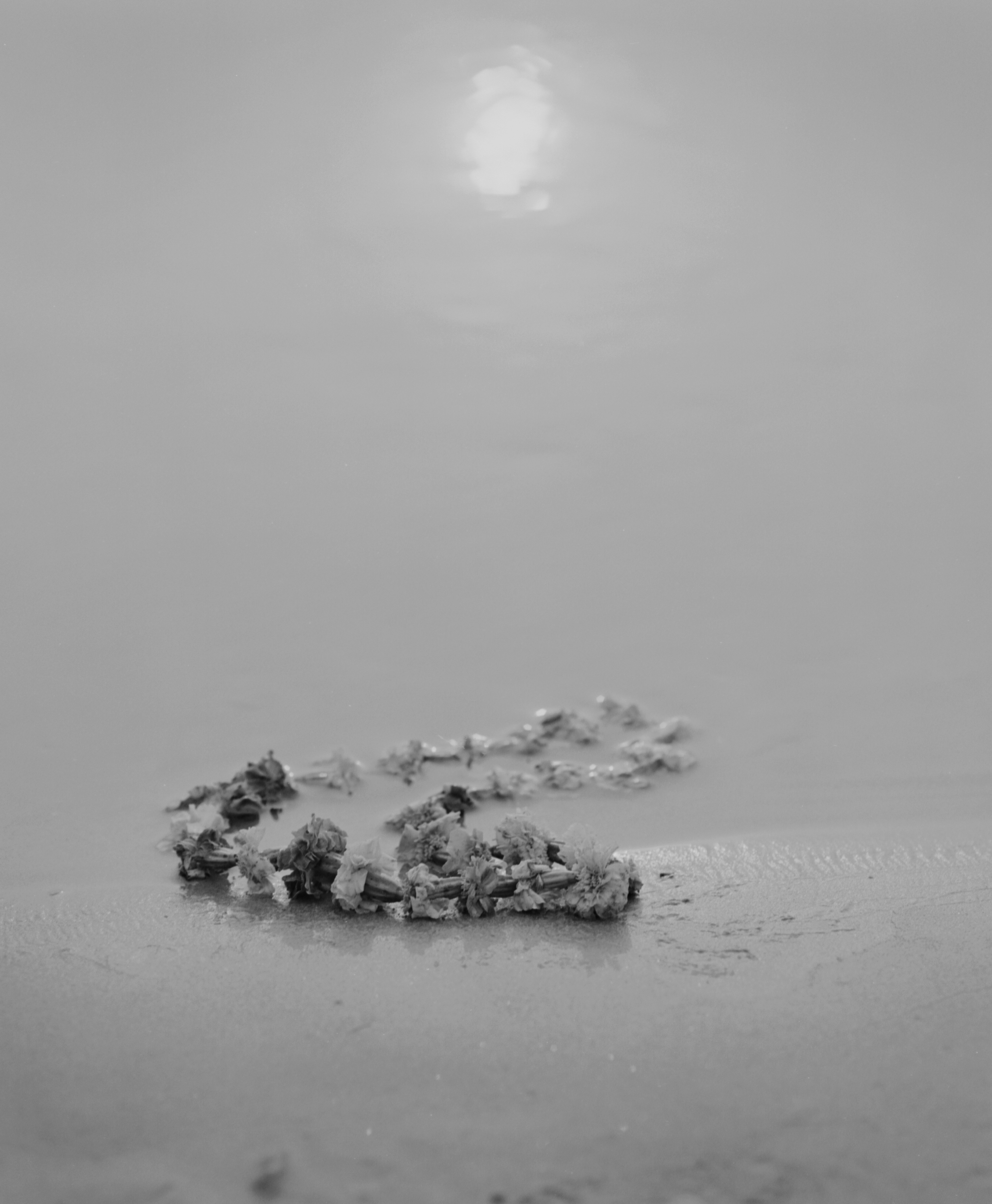 Kenro Izu: Eternal Light, Howard Greenberg Gallery, 2017