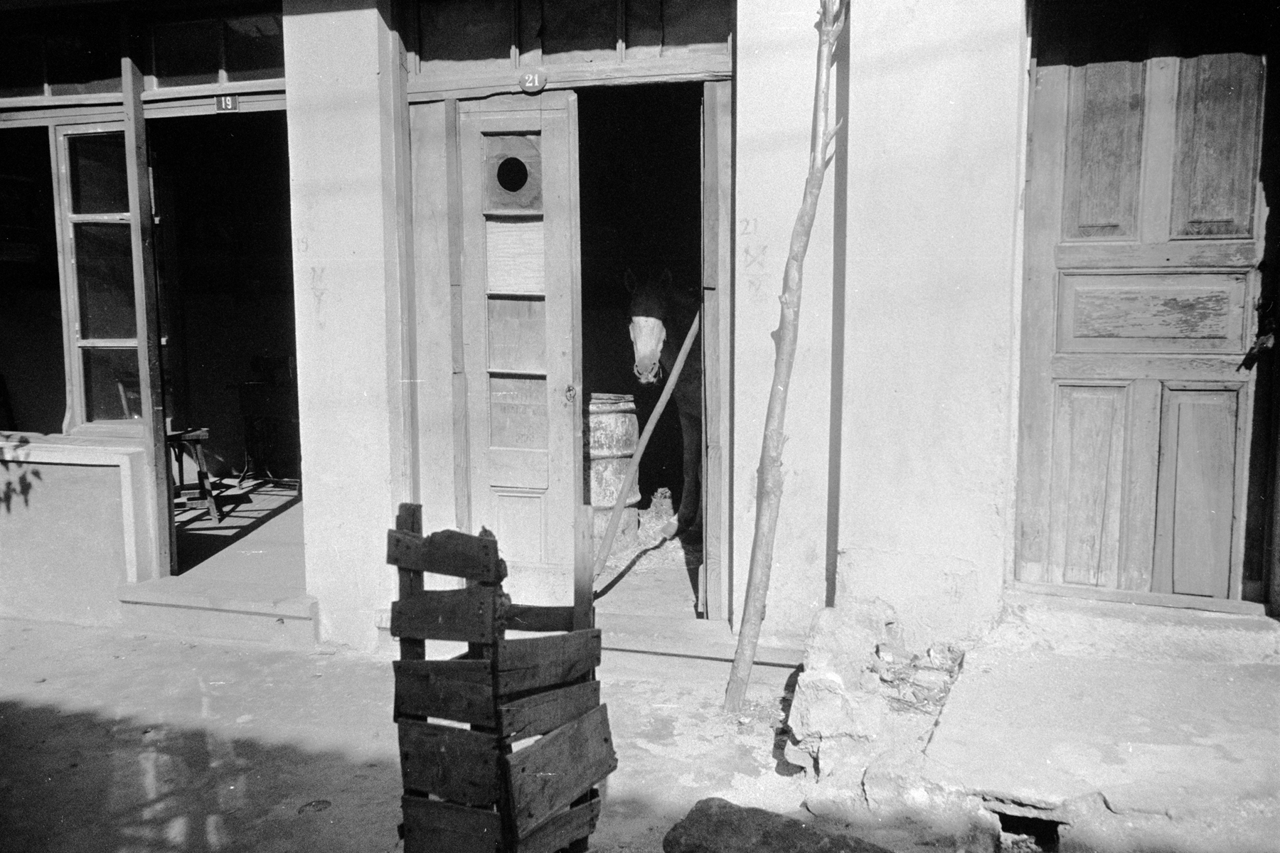 Joel Meyerowitz - European Trip: Photographs from the Car, 1968 2014 Howard Greenberg Gallery