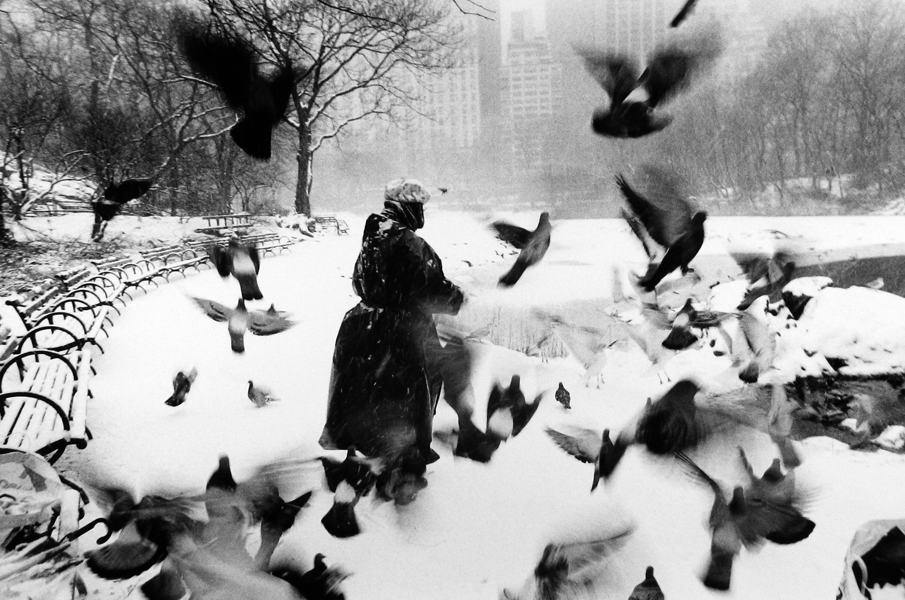 Let It Snow: Online Holiday Exhibition 2012 Howard Greenberg Gallery