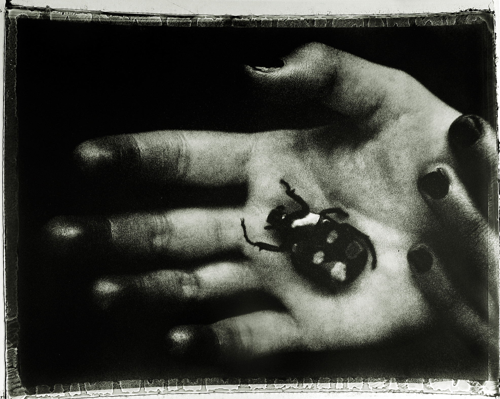 Sarah Moon: Circus 2004 2005 howard greenberg gallery