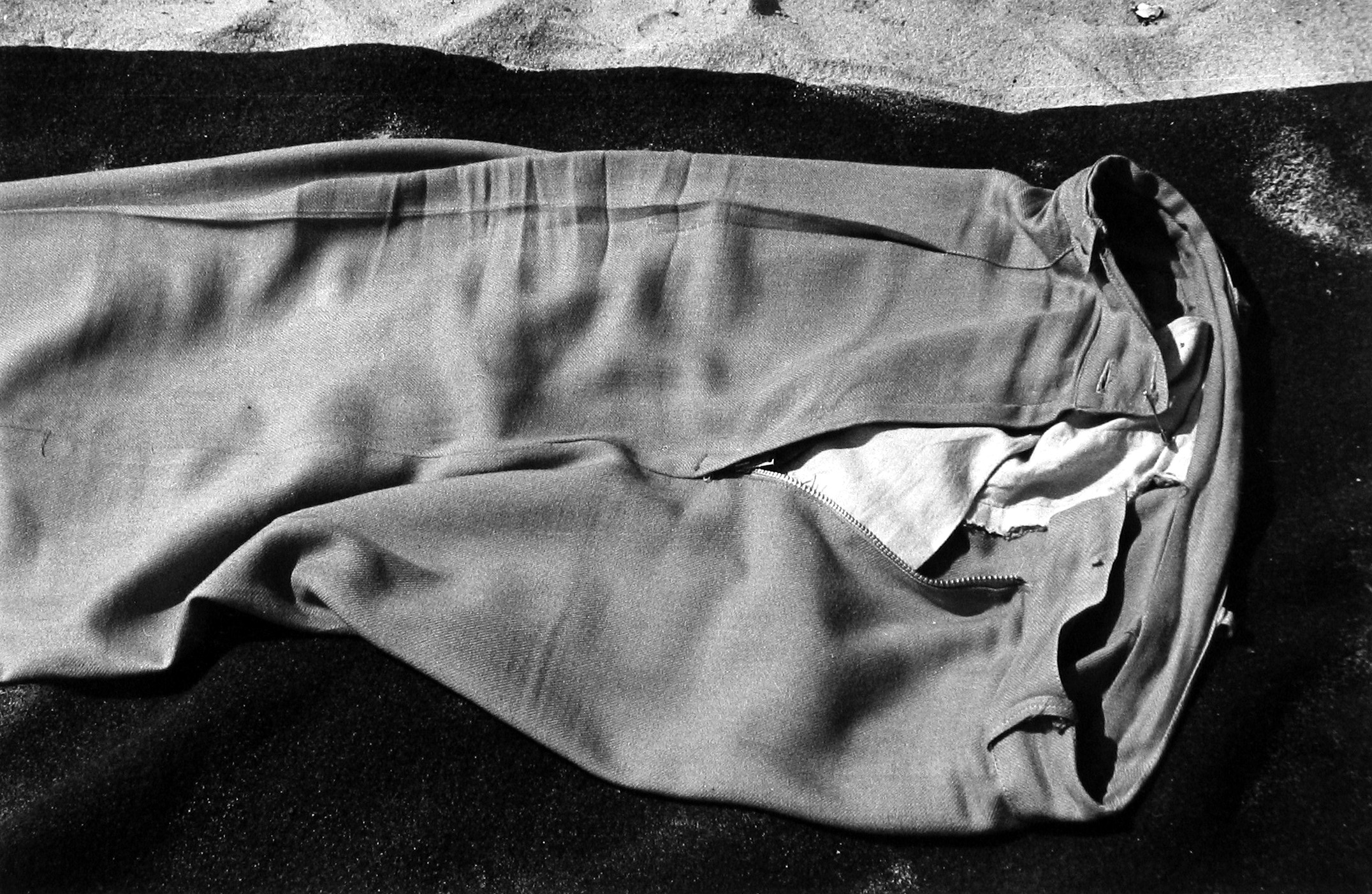 Photographers of Japanese Descent 2008 Howard Greenberg Gallery