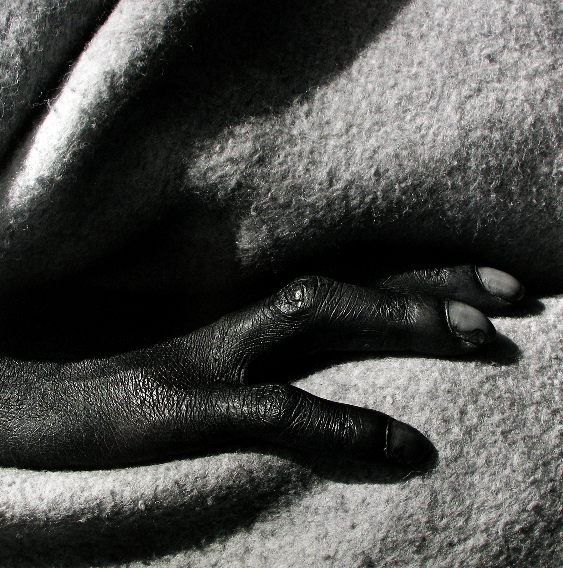 David Goldblatt: Particulars 2010 Howard Greenberg Gallery