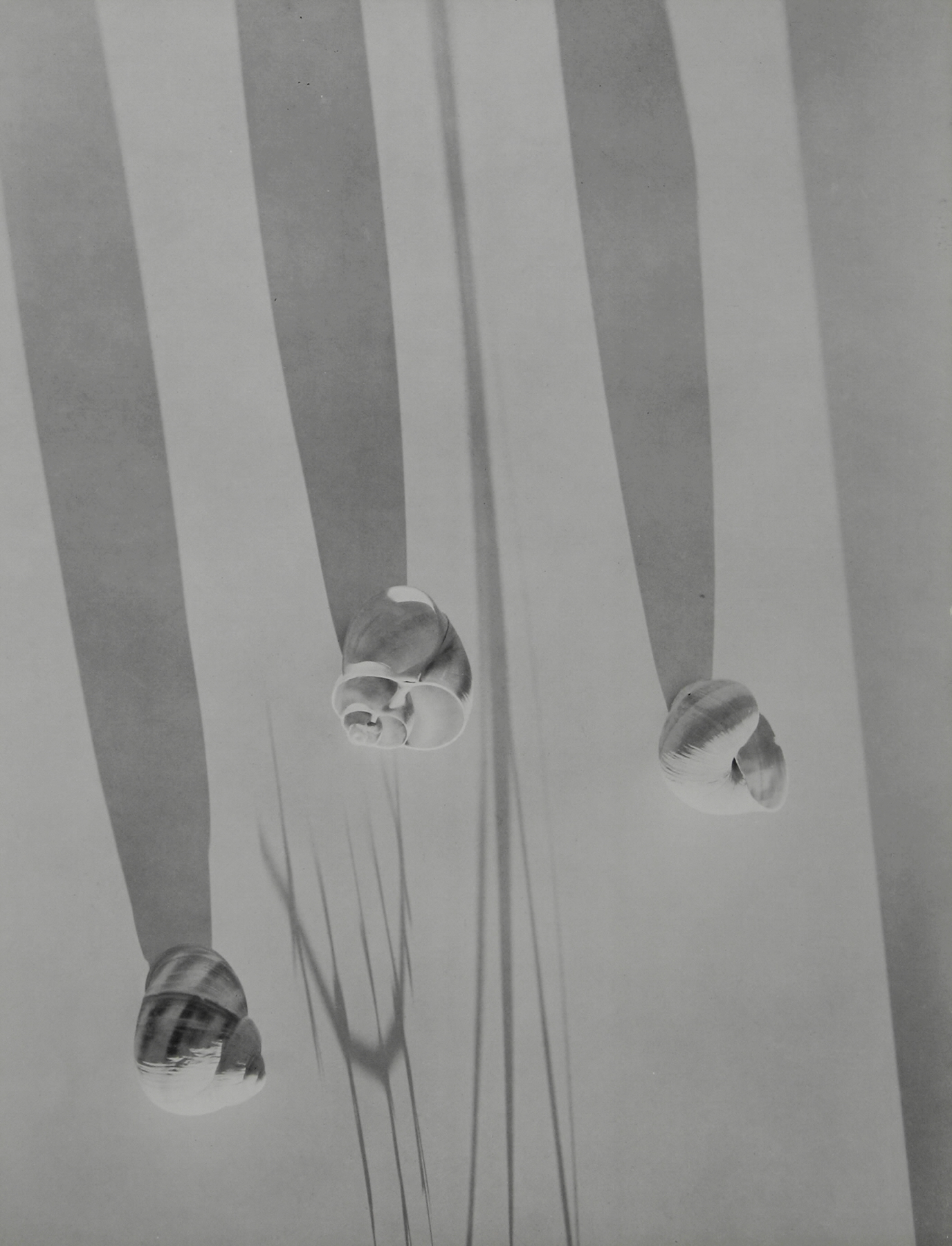 Czech Vision 2007 Howard Greenberg Gallery