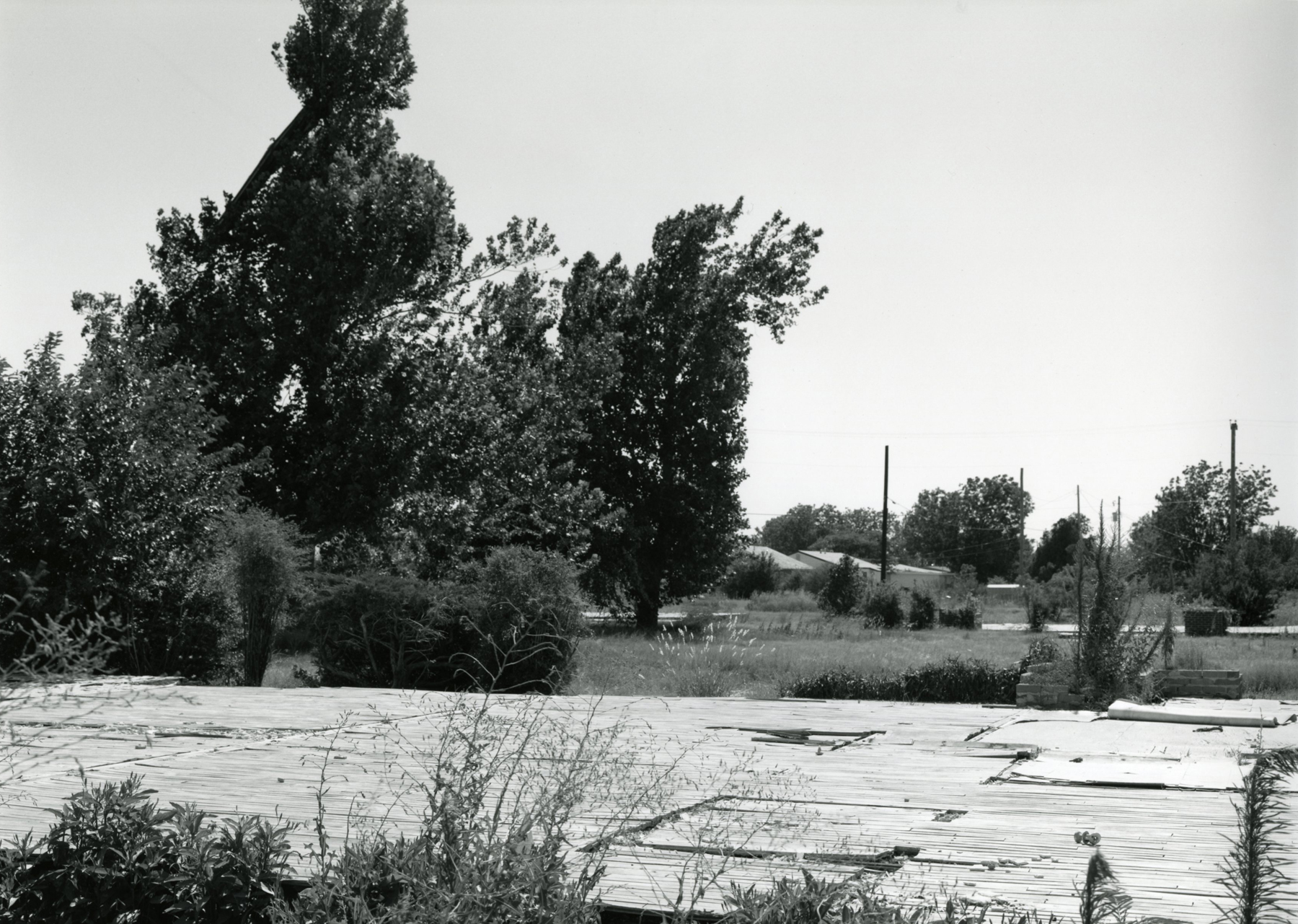 Frank Gohlke: One Thing and Another 2012 Howard Greenberg Gallery