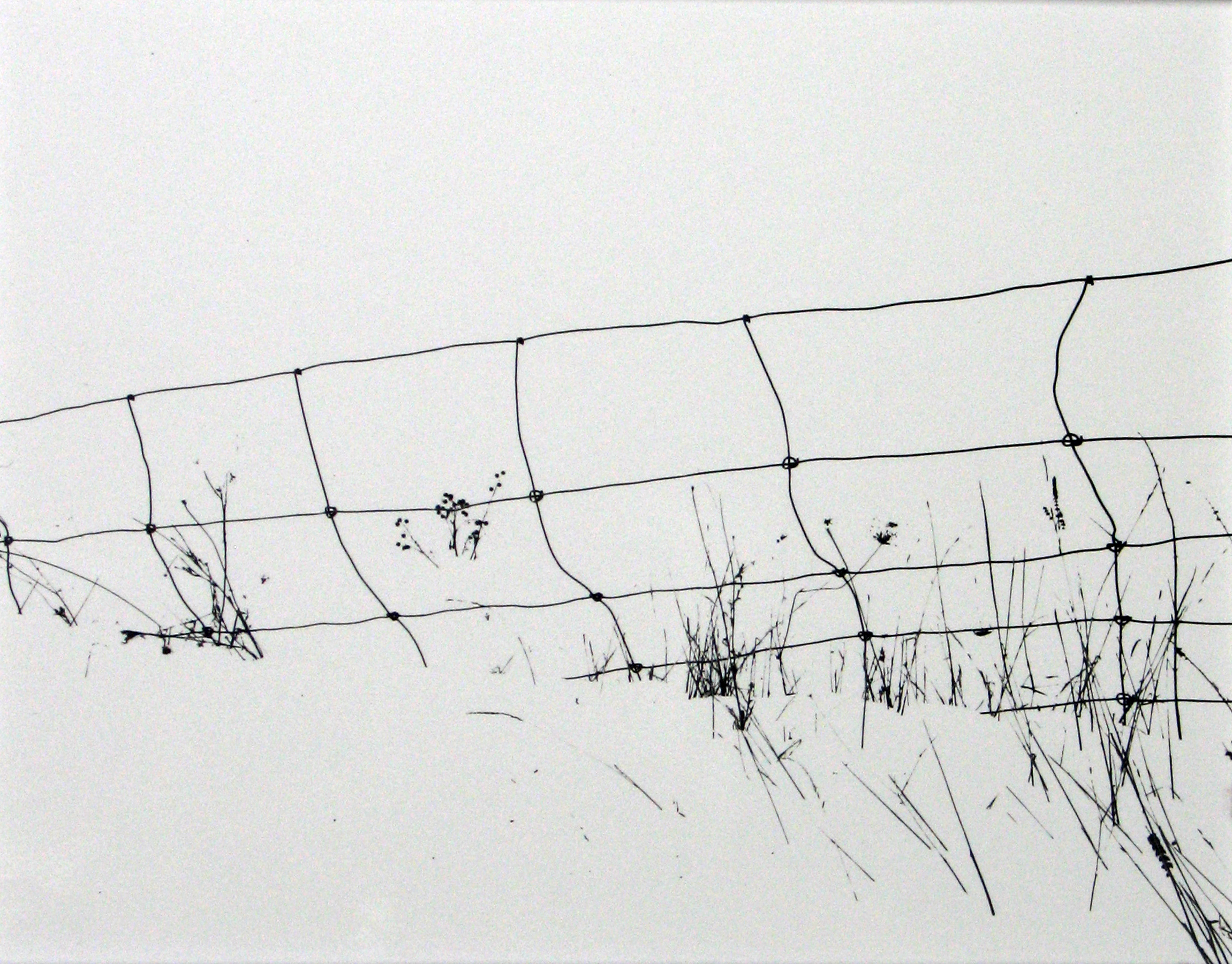 Staff Picks 2010 Howard Greenberg Gallery