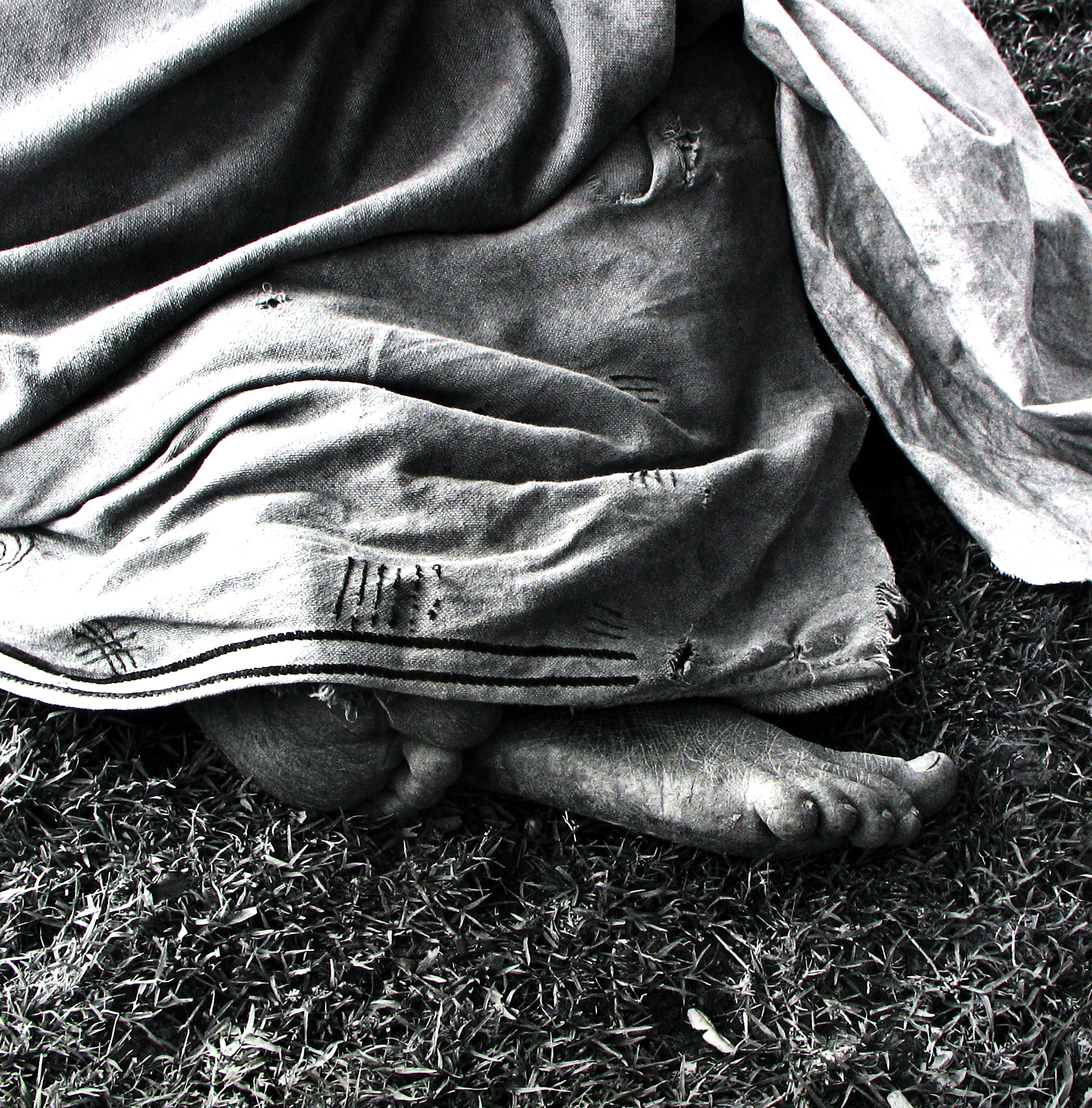 David Goldblatt: Particulars 2010 Howard Greenberg Gallery