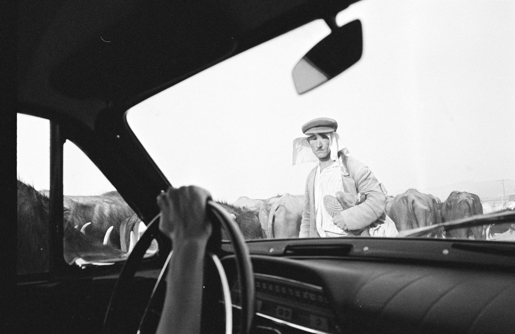 Joel Meyerowitz - European Trip: Photographs from the Car, 1968 2014 Howard Greenberg Gallery