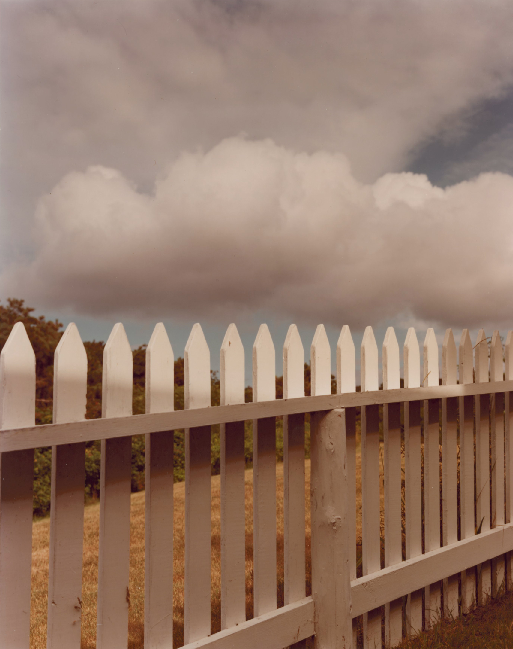 Joel Meyerowitz - 50 Years of Photographs Part II: 1976 - 2012 2012 Howard Greenberg Gallery