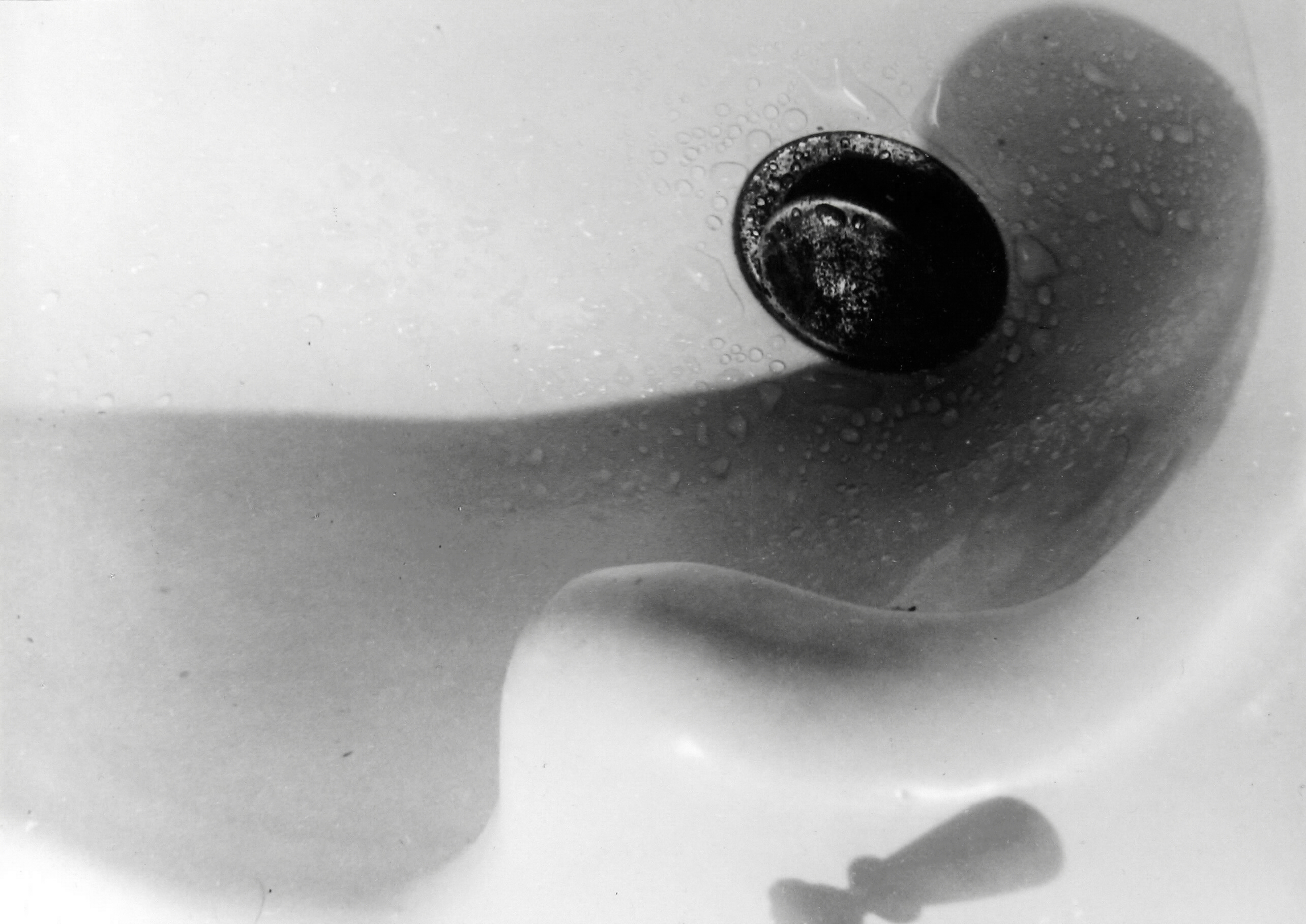 Arnold Newman: The Early Work 1938-1942 2007 Howard Greenberg Gallery
