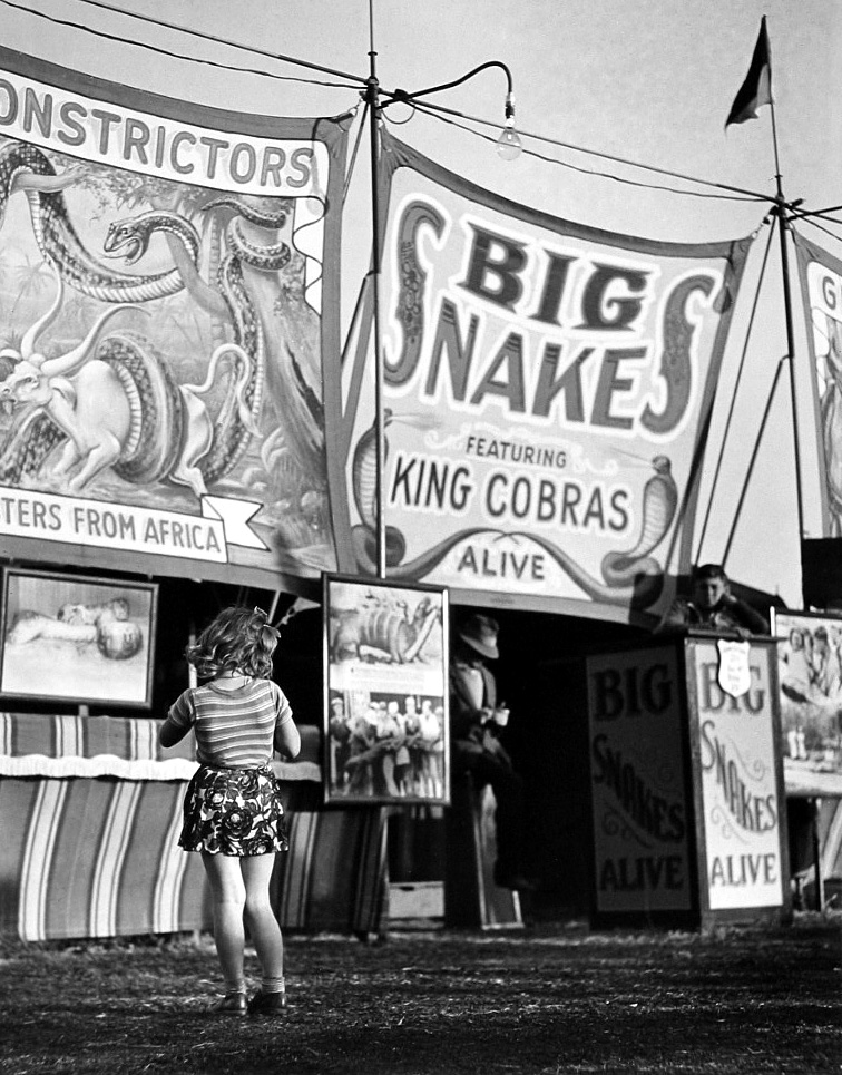 Staff Picks 2010 Howard Greenberg Gallery