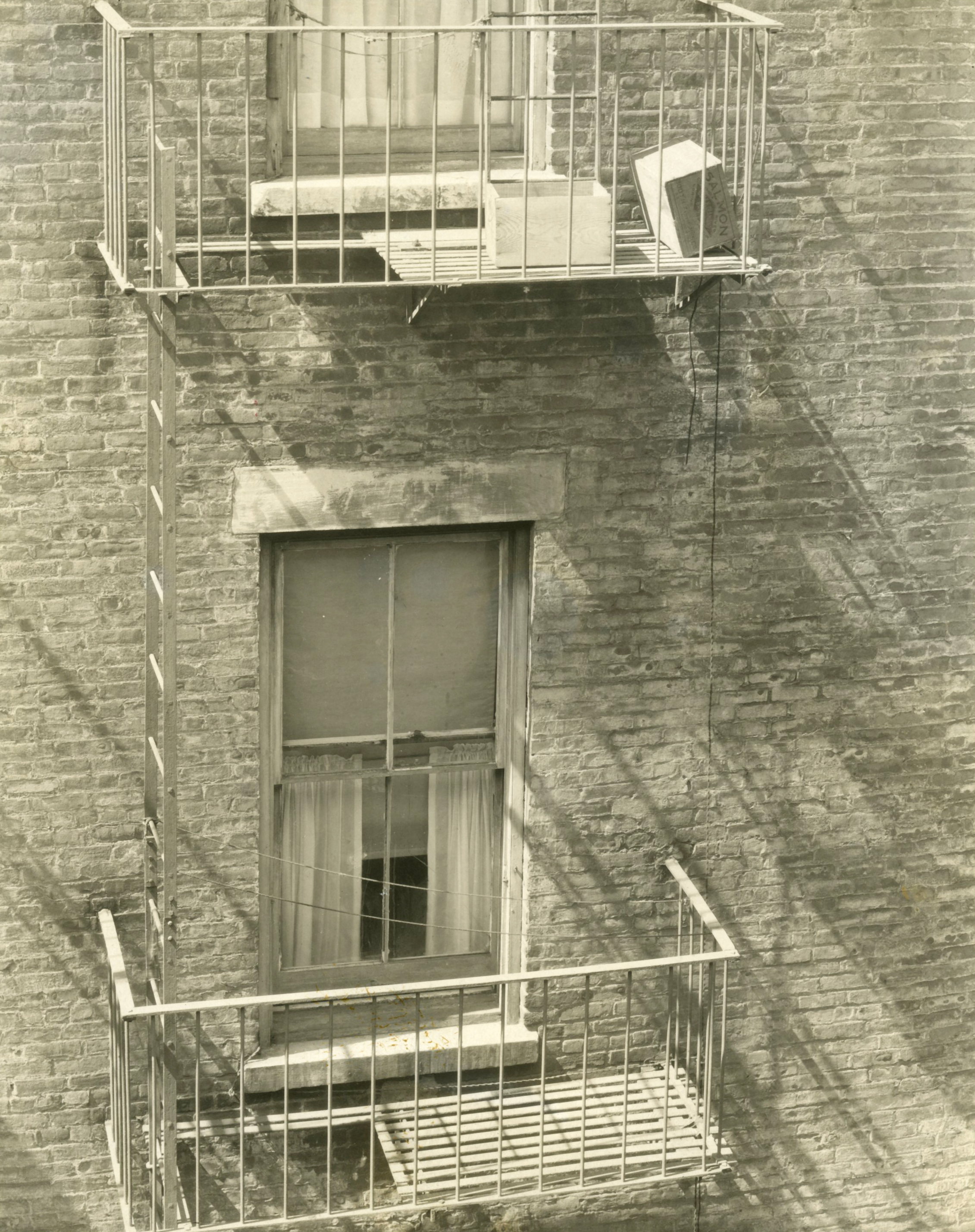 Edward Steichen: 1915-1923 2009 Howard Greenberg Gallery