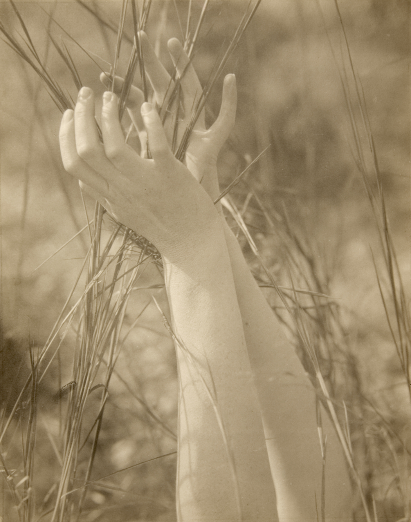 Edward Steichen: 1915-1923 2009 Howard Greenberg Gallery