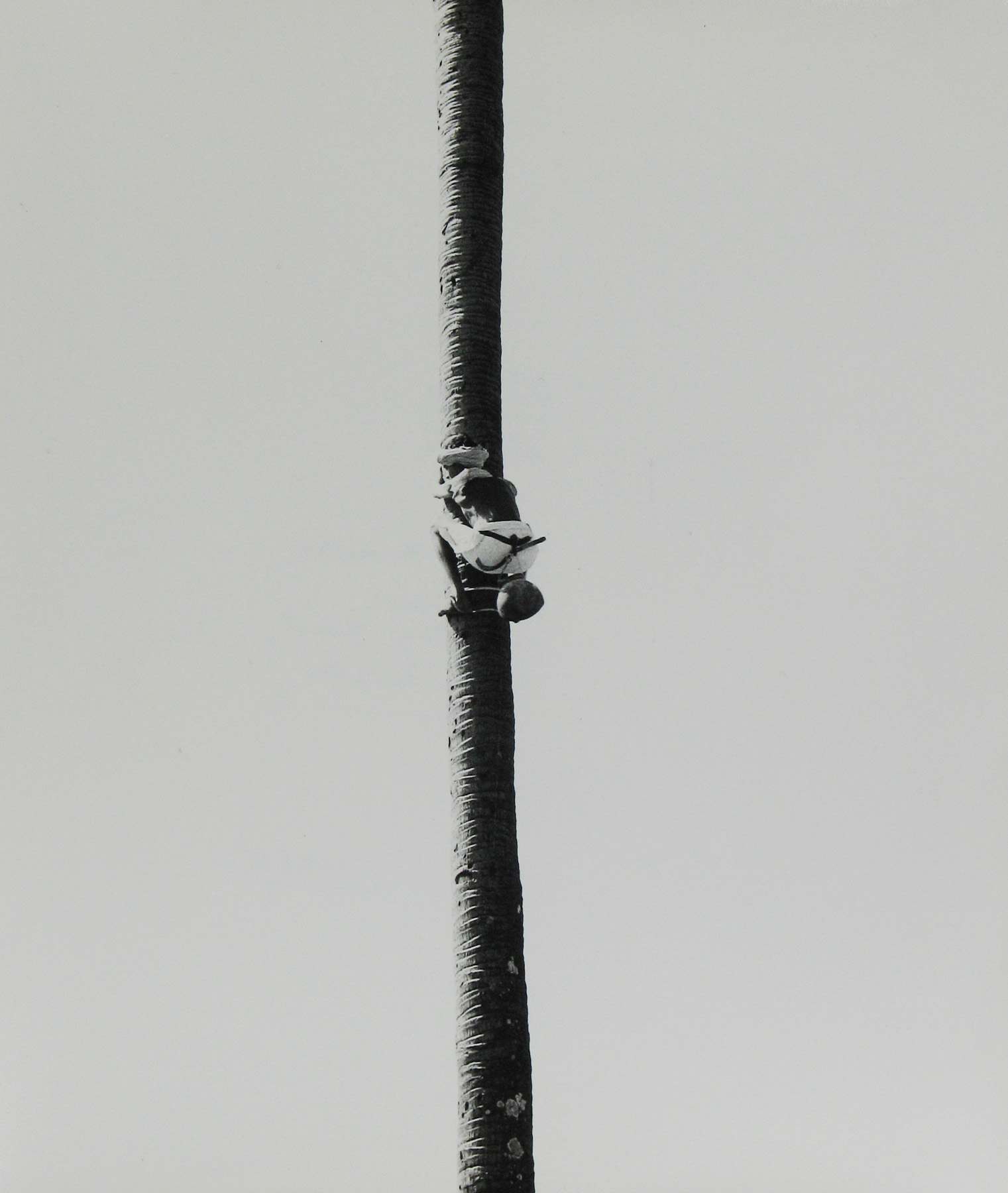 Sacred Sight: Photographs in India 2009 Howard Greenberg Gallery