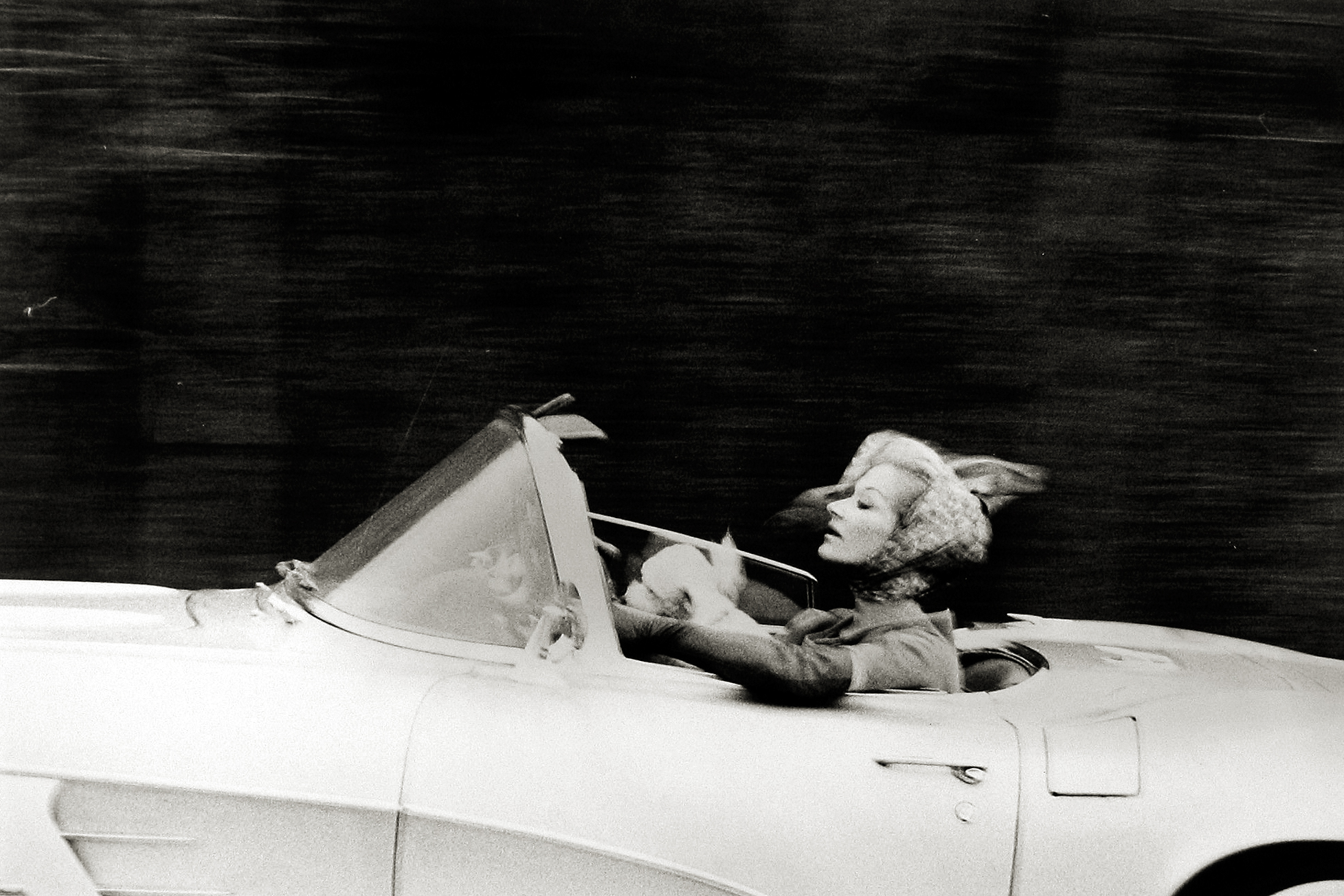 Staff Picks 2009 Howard Greenberg Gallery