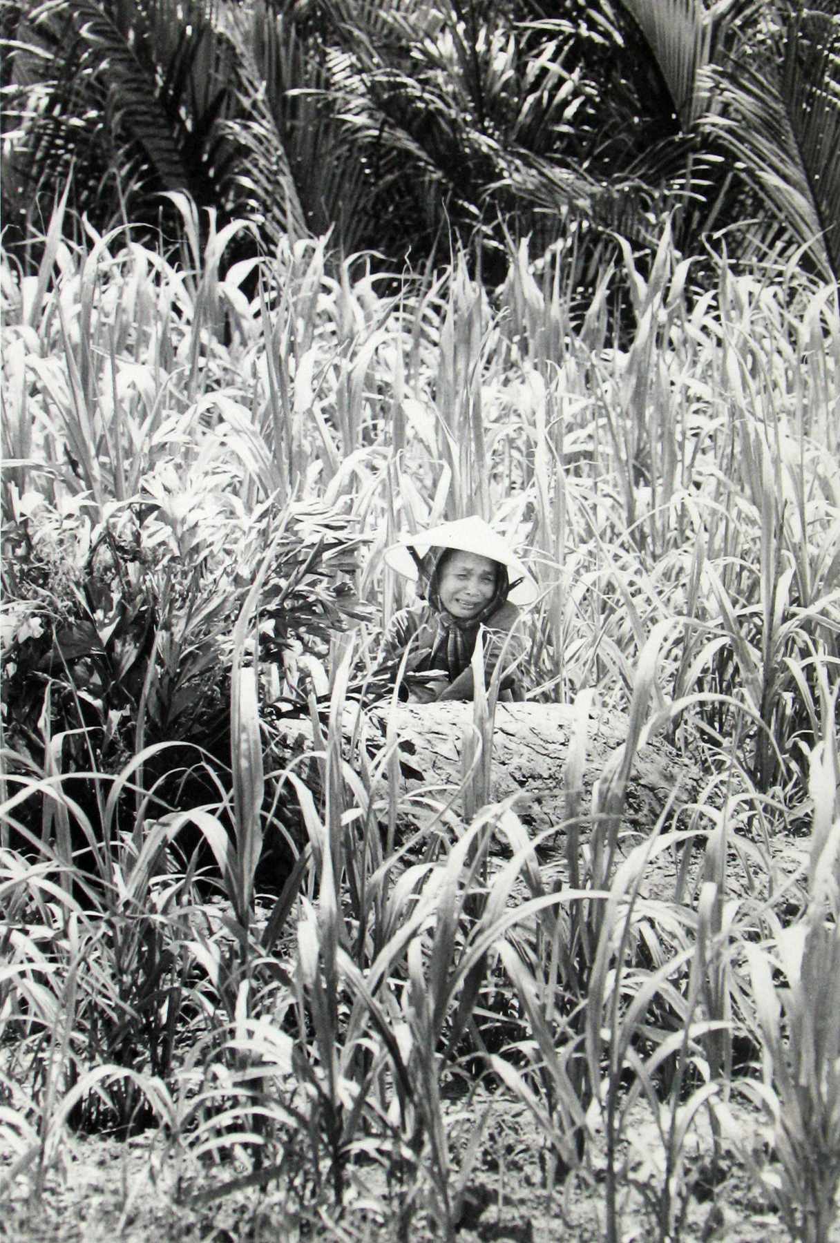 Philip Jones Griffiths: Maelstrom 2011 Howard Greenberg Gallery