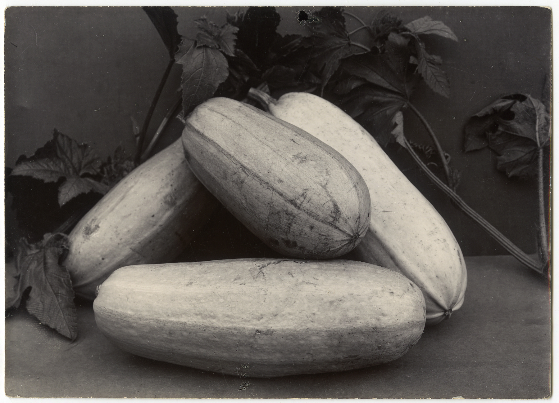 Charles Jones 2006 howard greenberg gallery