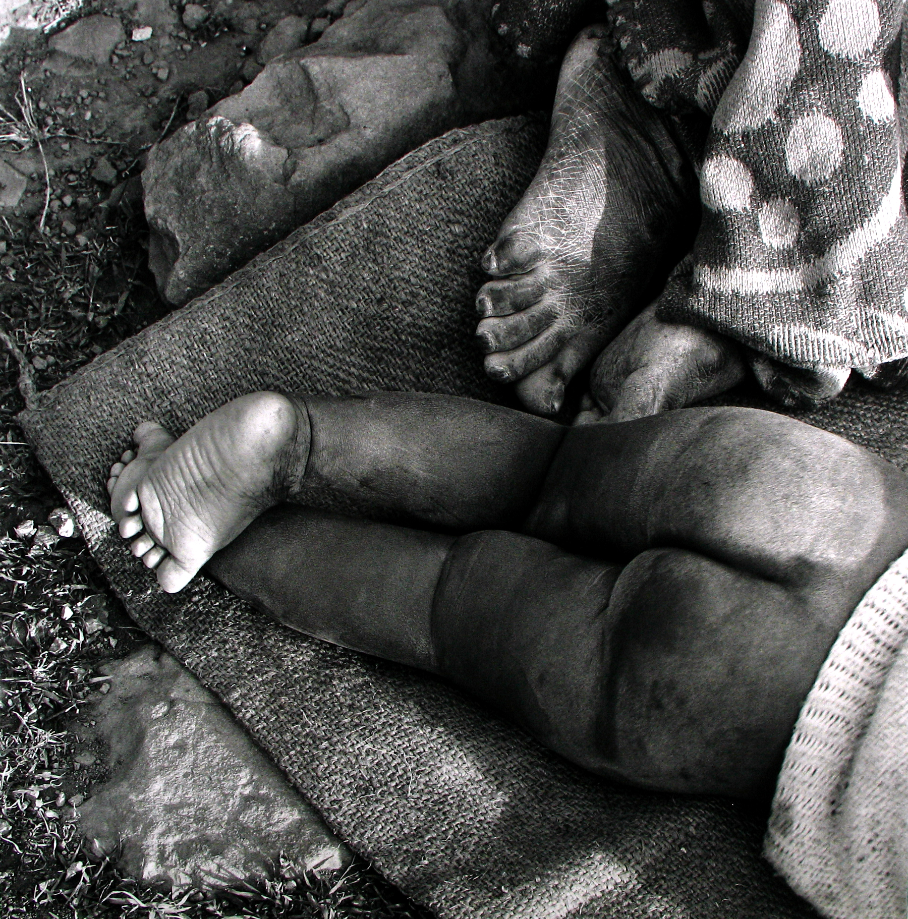 David Goldblatt: Particulars 2010 Howard Greenberg Gallery