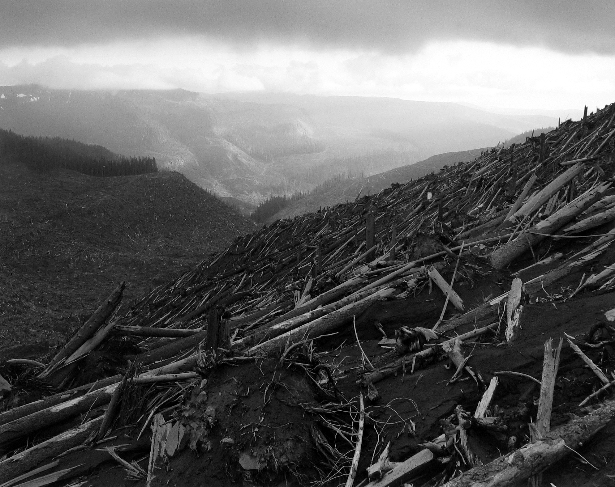 Frank Gohlke: Mount St. Helens 2005 howard greenberg gallery