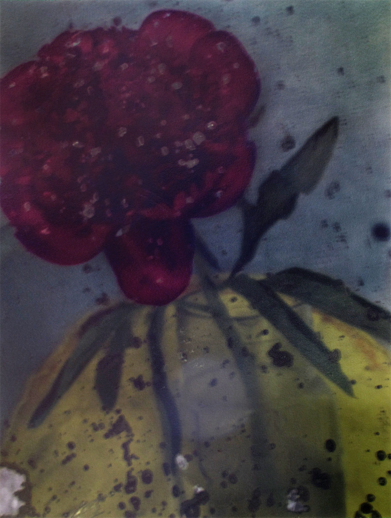 Sarah Moon: Now and Then 2012 Howard Greenberg Gallery