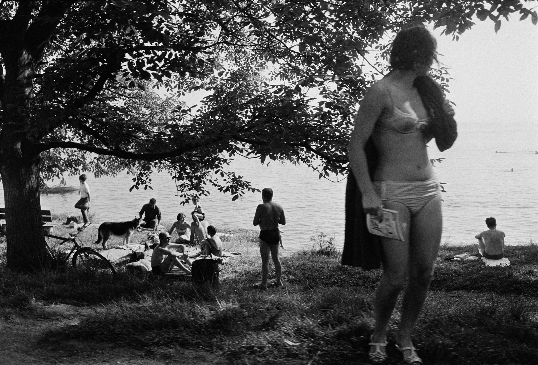 Joel Meyerowitz - European Trip: Photographs from the Car, 1968 2014 Howard Greenberg Gallery