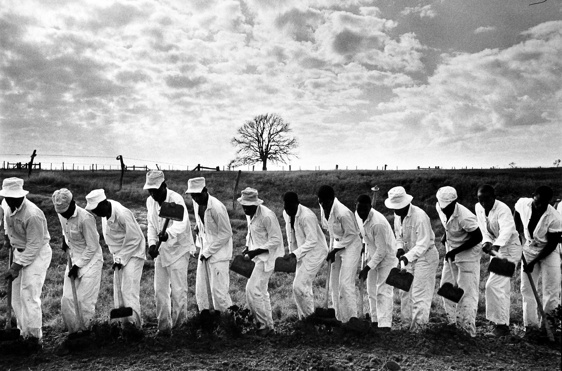 Land Lines - Howard Greenberg Gallery - 2015