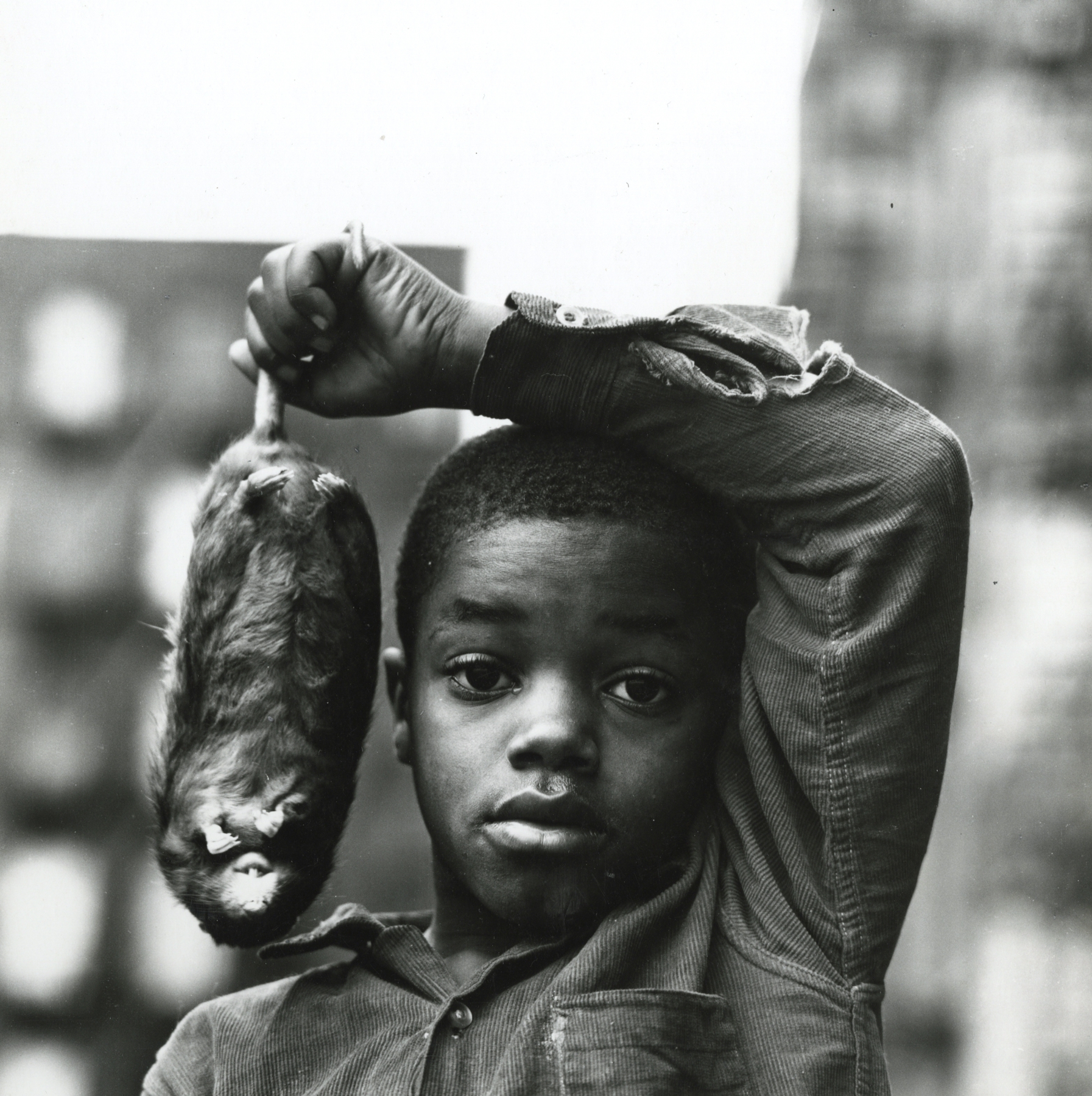 Bruce Davidson, East 100th Street, Howard Greenberg Gallery, 2019