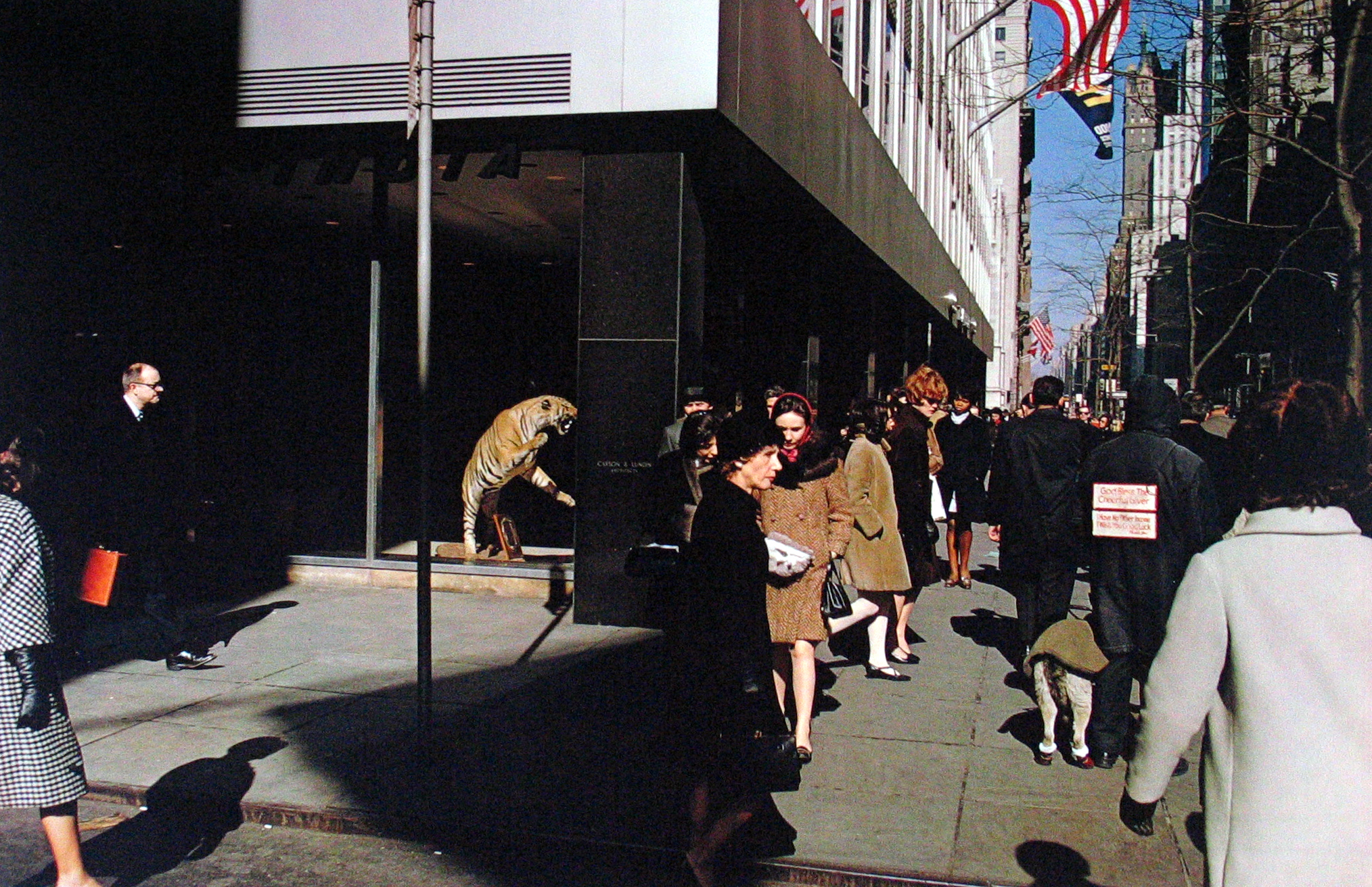 Six from the Seventies: The Last Years of Modern Photography 2004 Howard Greenberg Gallery