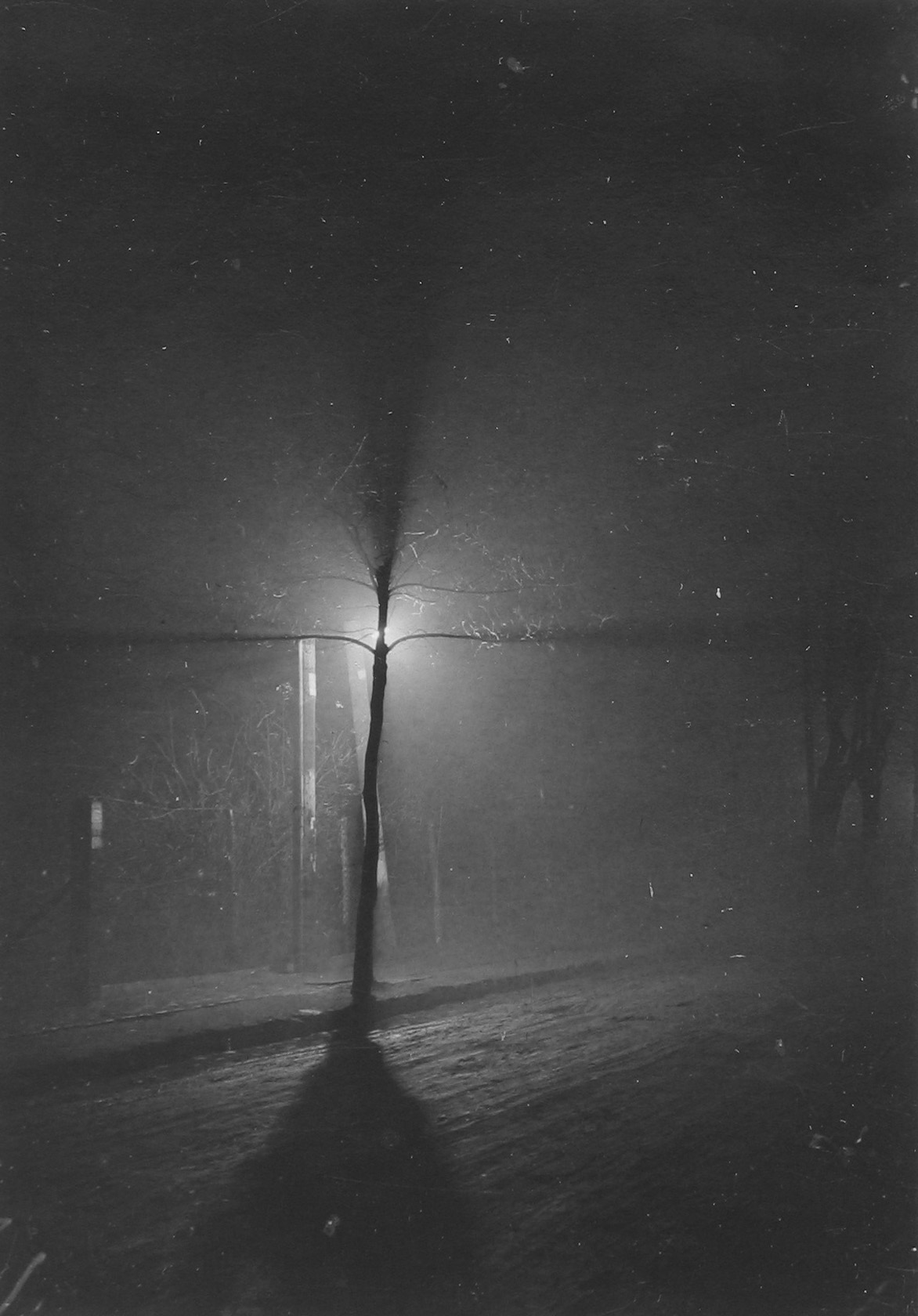 Staff Picks VI - Howard Greenberg Gallery - 2017