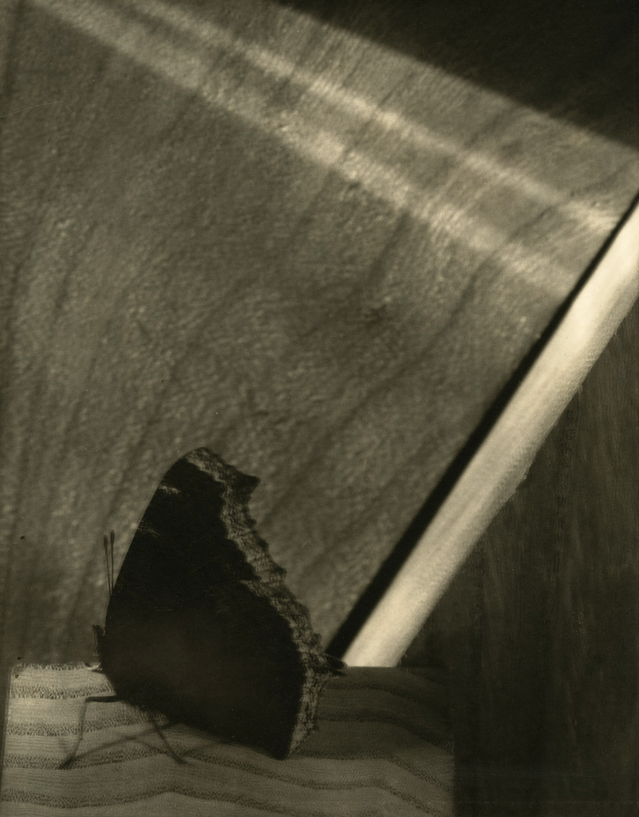 Edward Steichen: 1915-1923 2009 Howard Greenberg Gallery