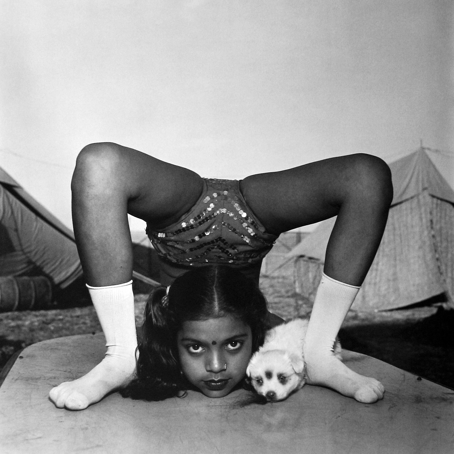 Mary Ellen Mark: Indian Circus 2009 howard greenberg gallery
