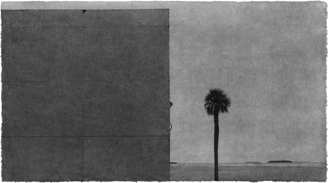 Jungjin Lee: Recent Projects - Works from Everglades - Howard Greenberg Gallery - 2015