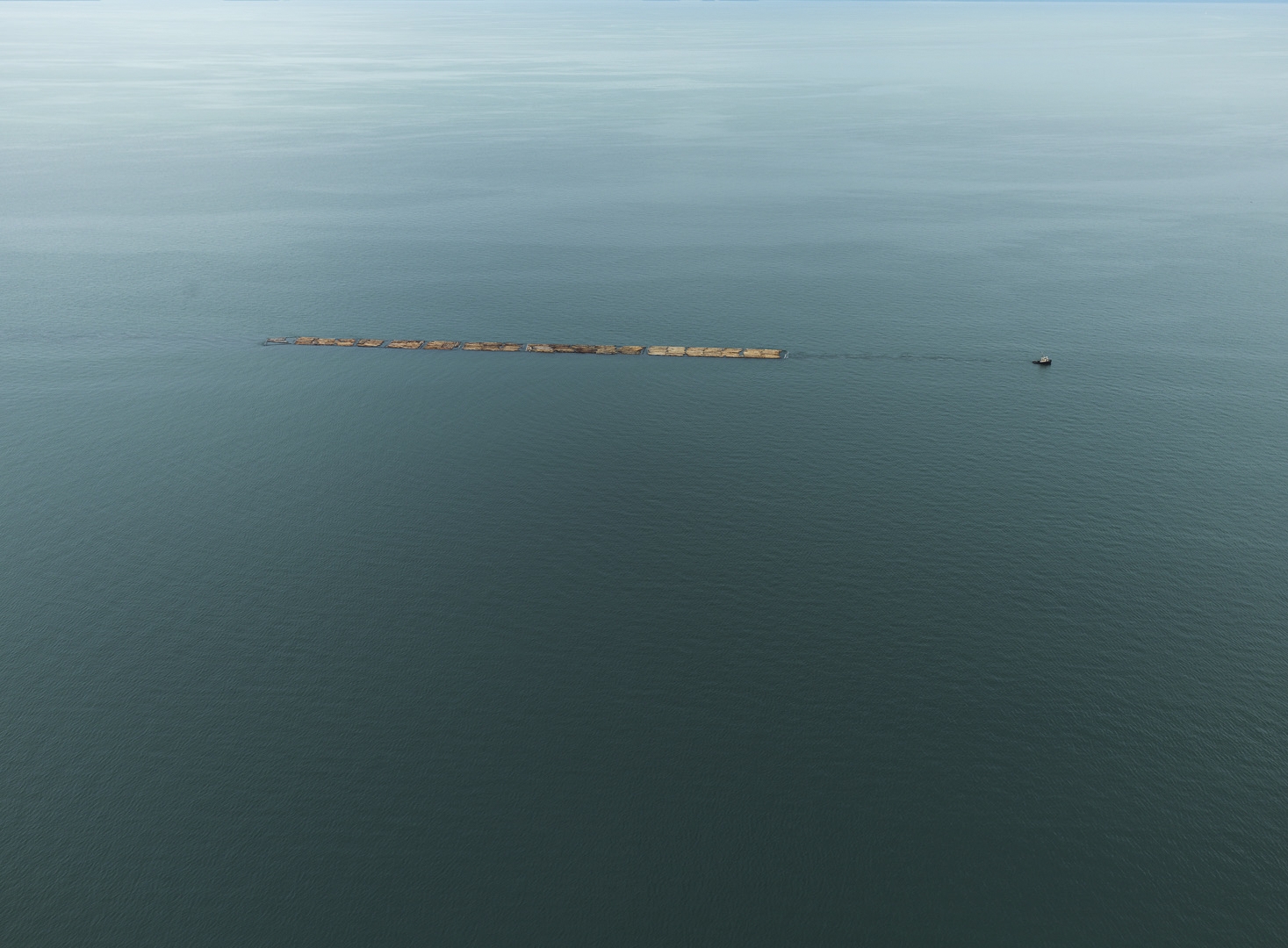 Edward Burtynsky - Timber Rafting #2, Straight of Georgia, British Columbia, Canada 1/9, 2016 - Howard Greenberg Gallery - 2018