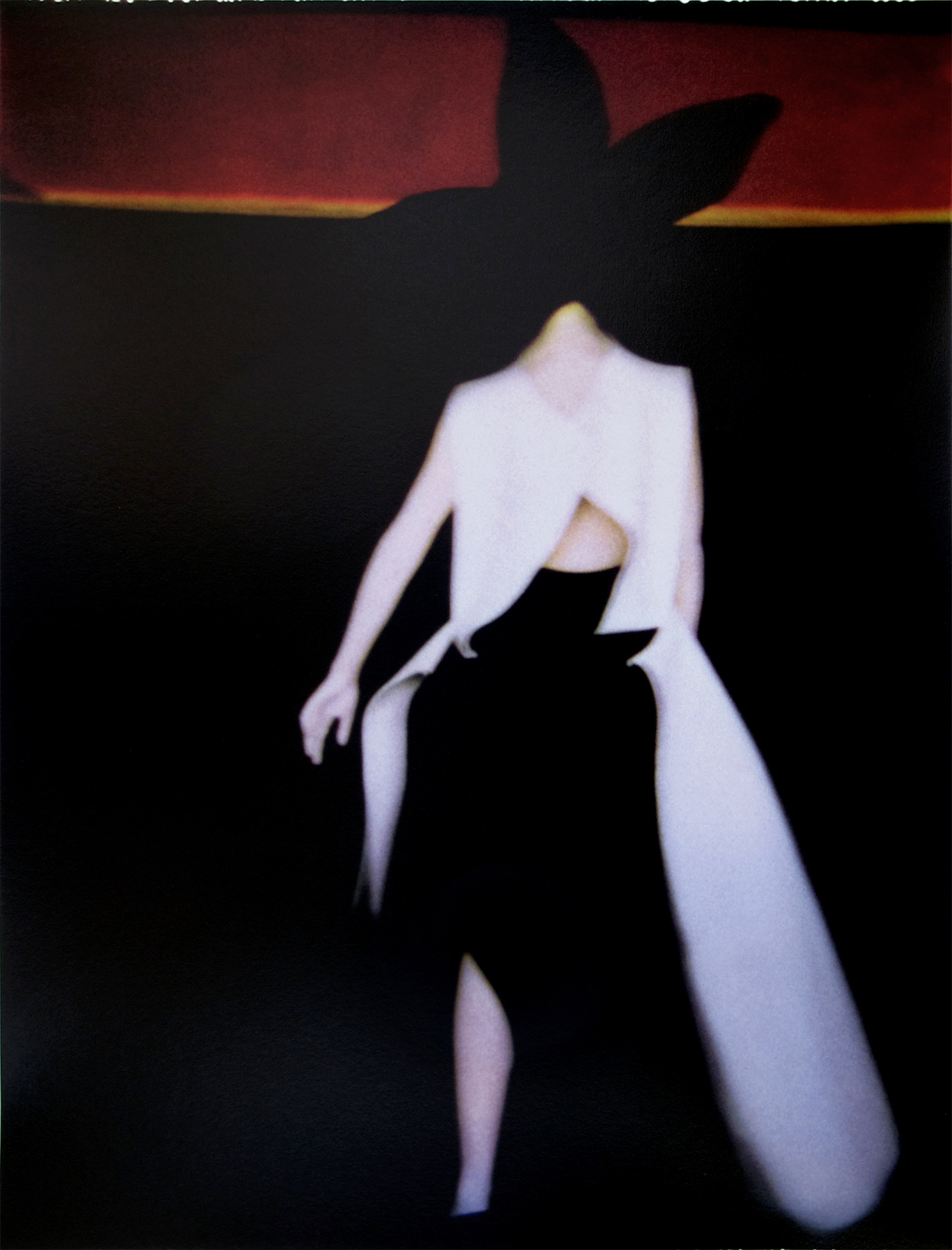 Sarah Moon: Now and Then 2012 Howard Greenberg Gallery