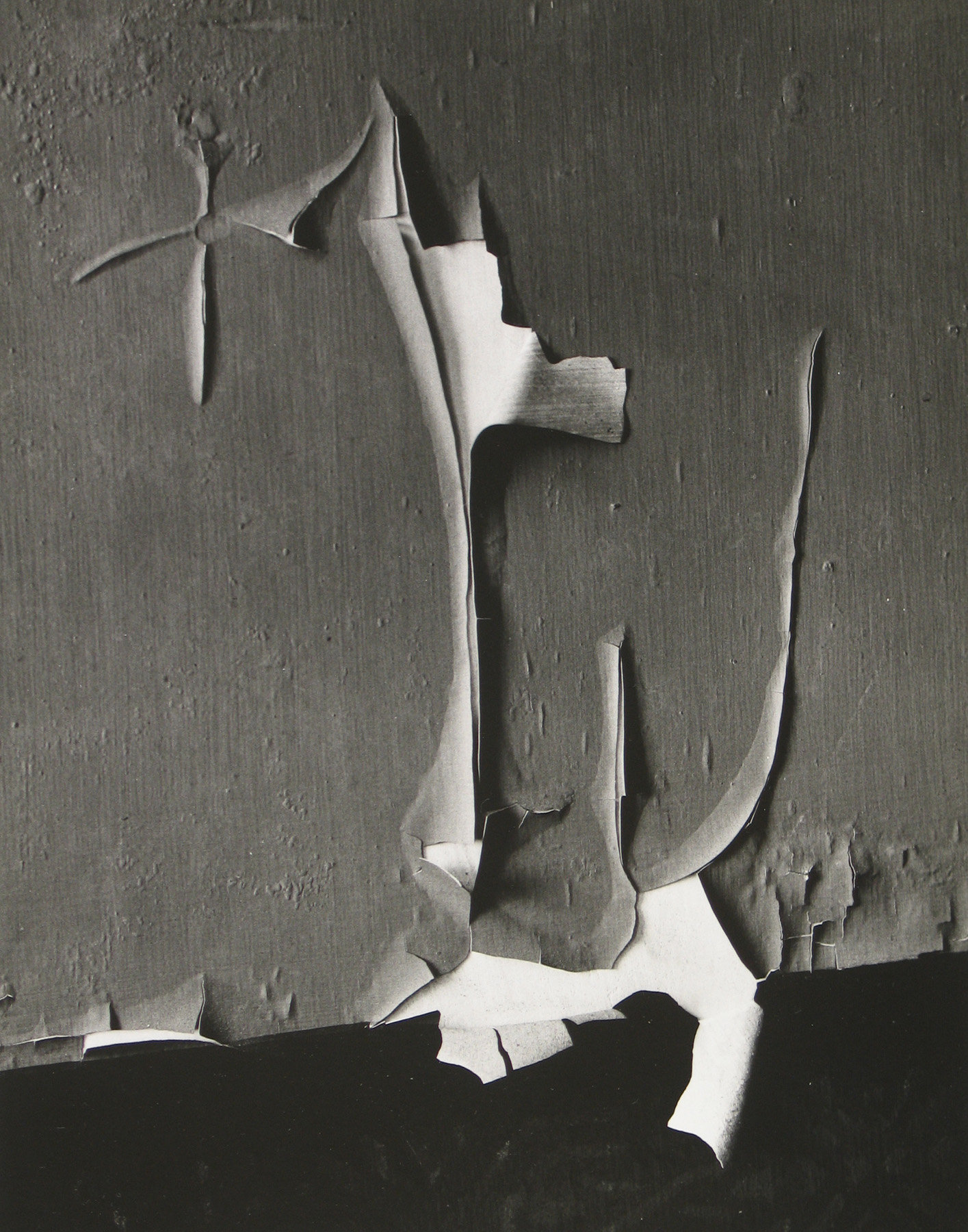 Minor White: Eye Mind Spirit 2008 Howard Greenberg Gallery