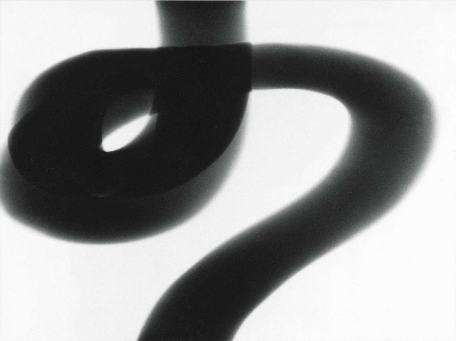 William Klein: Paintings, Etc. 2013 Howard Greenberg Gallery