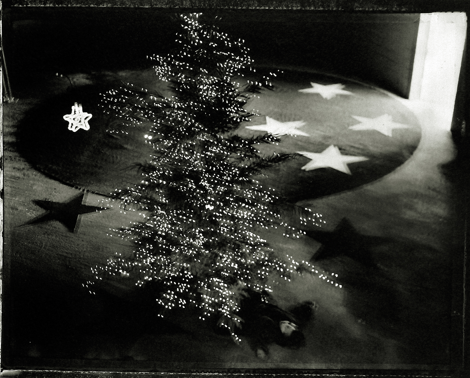 Sarah Moon: Circus 2004 2005 howard greenberg gallery